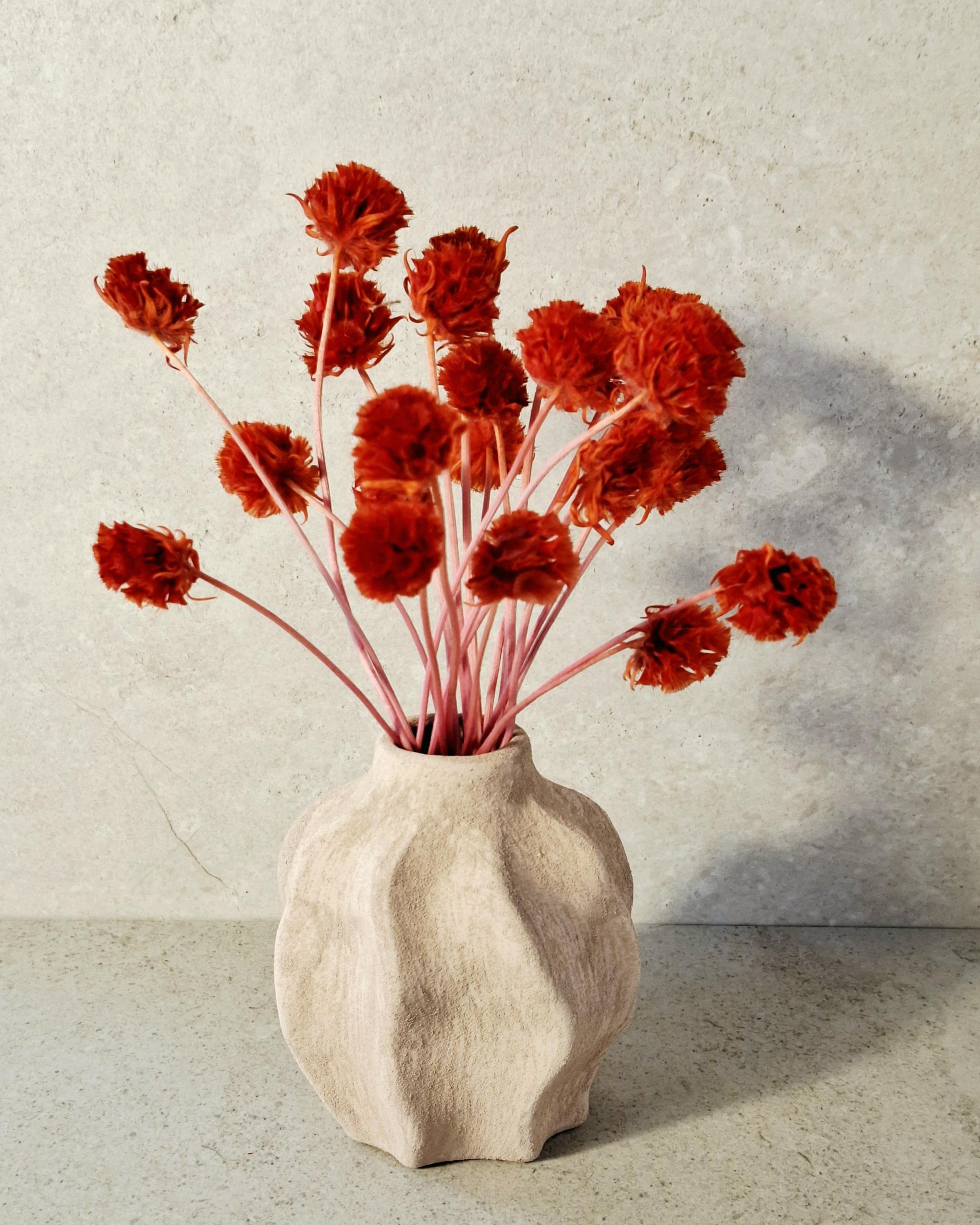 Red Stabilized Scabiosa Pods Stems, Preserved Flower Stems, Florist Supply, Dried Flower Decor, Wedding Florals, DIY Craft, Home Decor