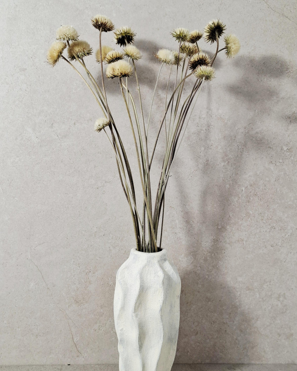 Natural Dried Thistle Stems 60 cm, Beige Dried Flowers, Minimalist Bouquet, Boho Home Decor, Neutral Floral Arrangement