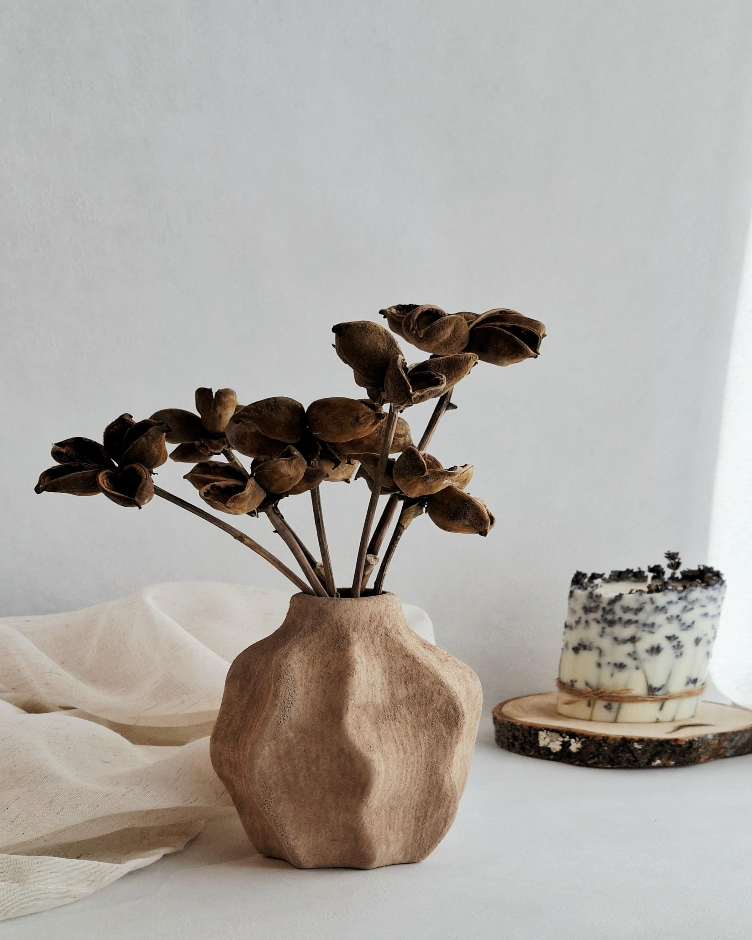 Dried Lotus Style Seed Pods, Tree Peony Pods, Natural Brown Dried Flowers, Botanical Stems for Vase, Rustic Decor