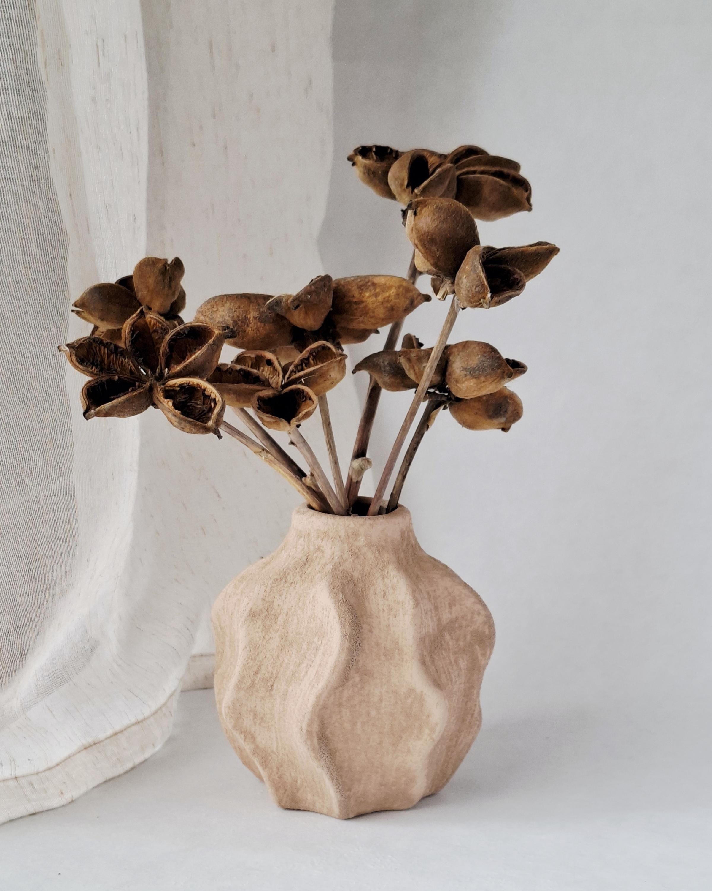 Dried Lotus Style Seed Pods, Tree Peony Pods, Natural Brown Dried Flowers, Botanical Stems for Vase, Rustic Decor