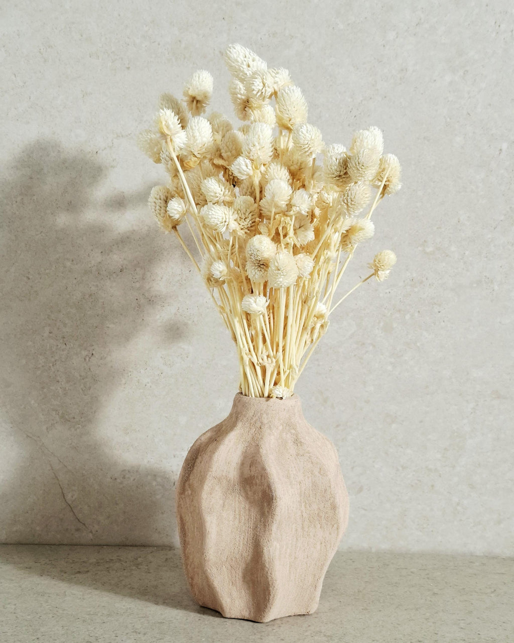 Cream Dried Gomphrena Bouquet (20–25 stems) | Natural Dried Flowers | Home Decor | DIY Craft Supply