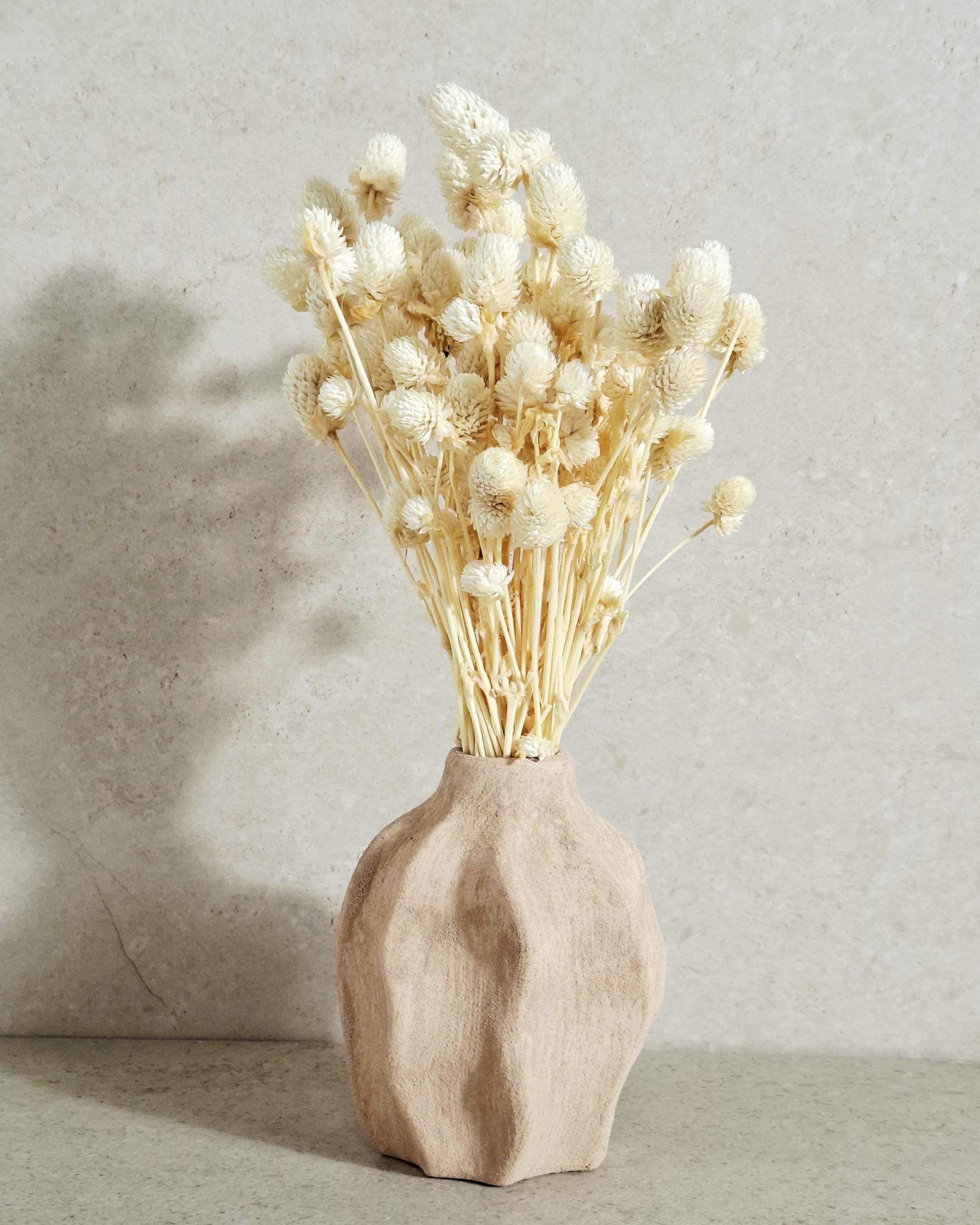 Cream Dried Gomphrena Bouquet (20–25 stems) | Natural Dried Flowers | Home Decor | DIY Craft Supply