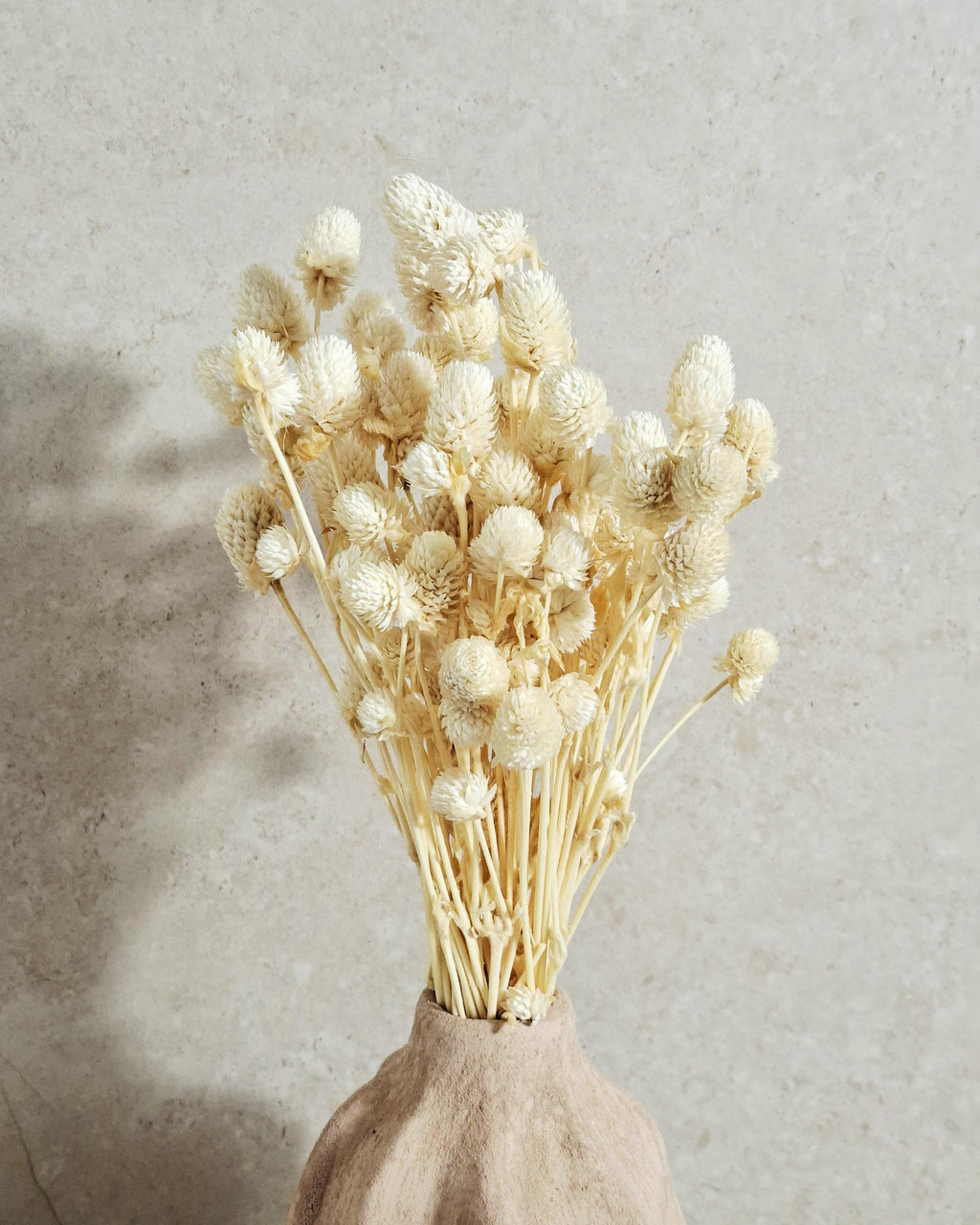 Cream Dried Gomphrena Bouquet (20–25 stems) | Natural Dried Flowers | Home Decor | DIY Craft Supply
