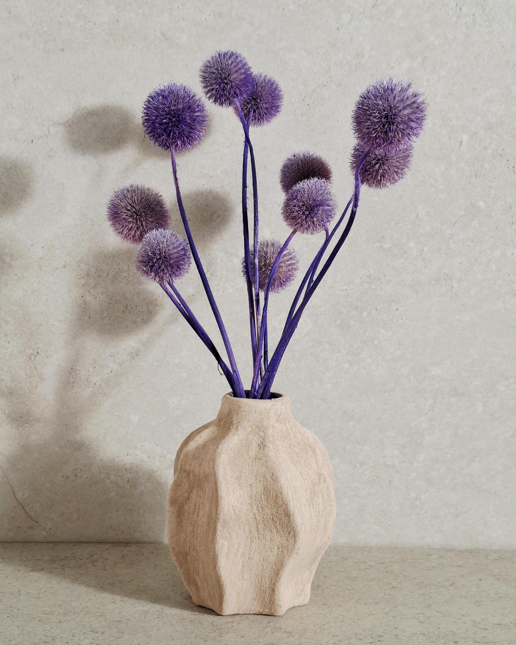 Purple Globe Thistle Stems, Dried Echinops, Purple Dried Flowers, Floral Supply, Craft Material, Short Stems