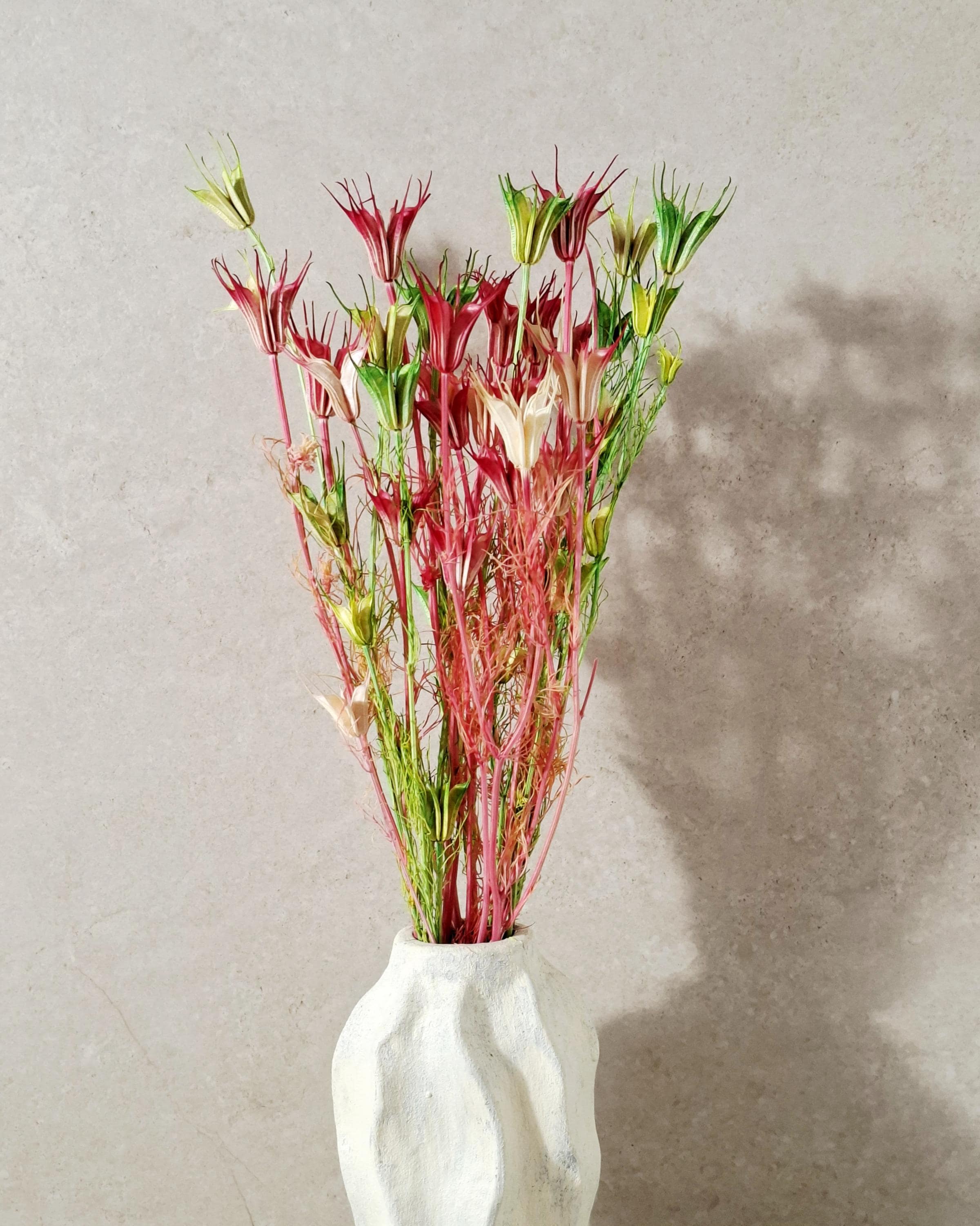 Dried Nigella Stems Pink Green, Natural Beige Mix, Preserved Nigella, Floral Supply for DIY, Wedding Decor, Dried Flower Stems