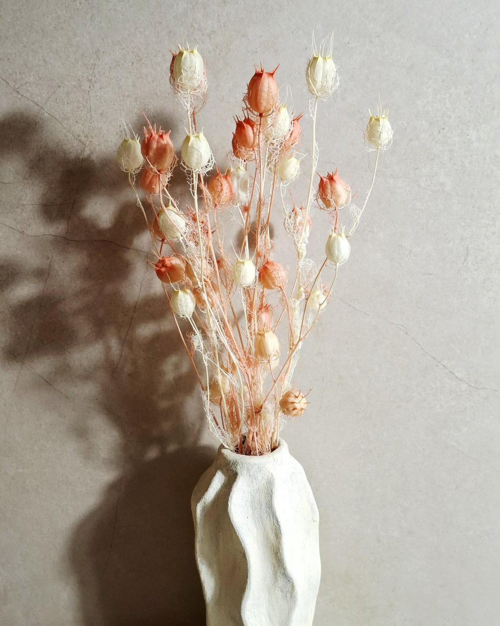 Dried Nigella Pods White Pink Mix, Soft Pink Nigella, Two Tone Nigella Pods, Preserved Flowers, Floral Supply, Wedding Decor