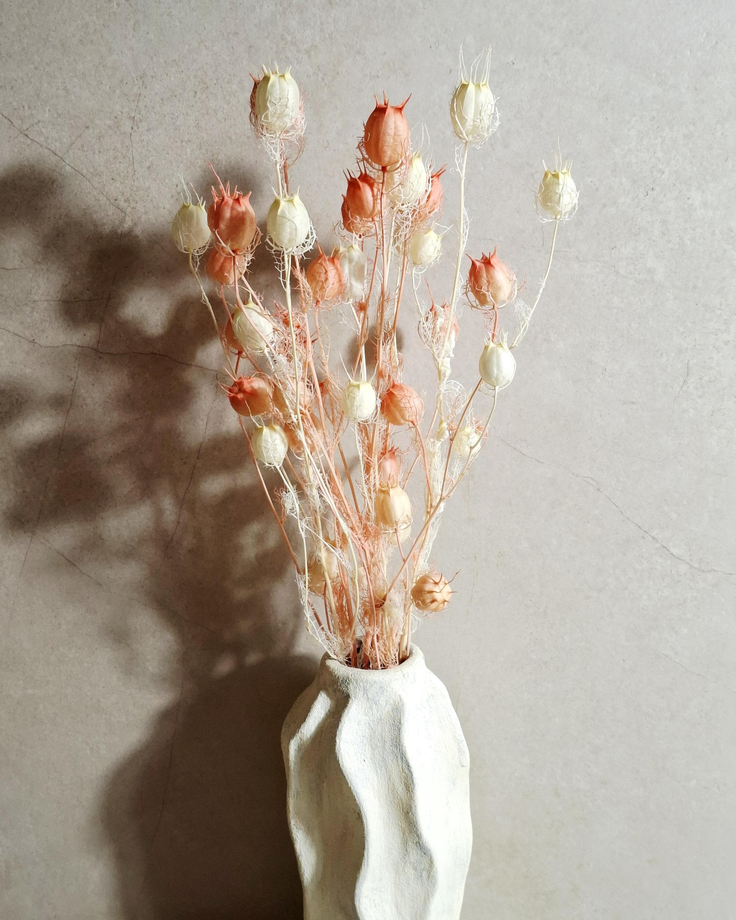 Dried Nigella Pods White Pink Mix, Soft Pink Nigella, Two Tone Nigella Pods, Preserved Flowers, Floral Supply, Wedding Decor