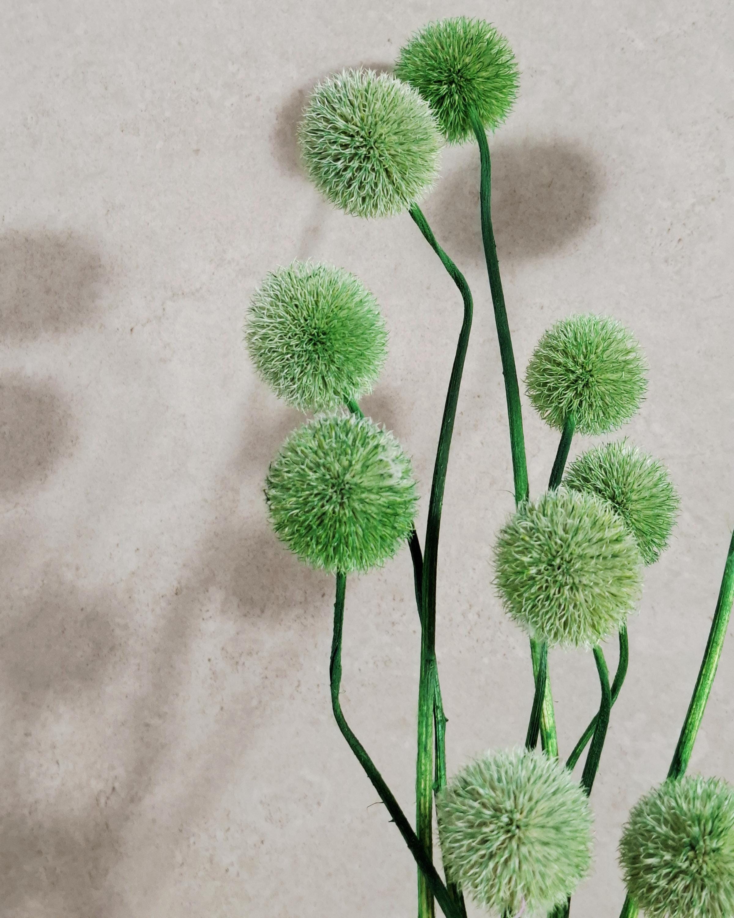 Green Globe Thistle Stems Echinops, Dyed Dried Flowers, Floral Supply, Green Decorative Stems, DIY Craft Material, Vase Filler