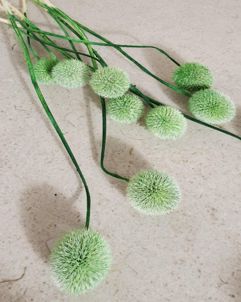 Green Globe Thistle Stems Echinops, Dyed Dried Flowers, Floral Supply, Green Decorative Stems, DIY Craft Material, Vase Filler