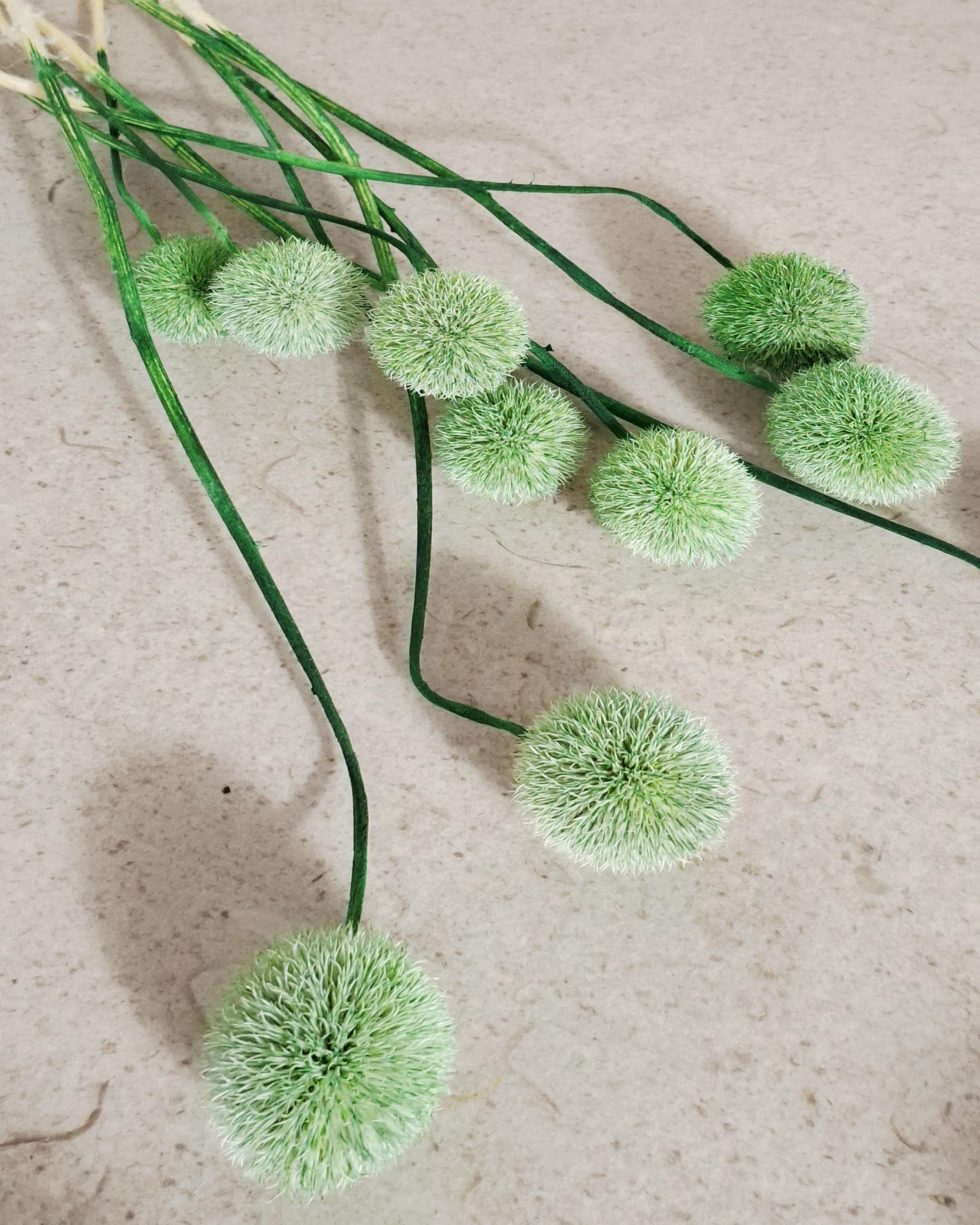 Green Globe Thistle Stems Echinops, Dyed Dried Flowers, Floral Supply, Green Decorative Stems, DIY Craft Material, Vase Filler