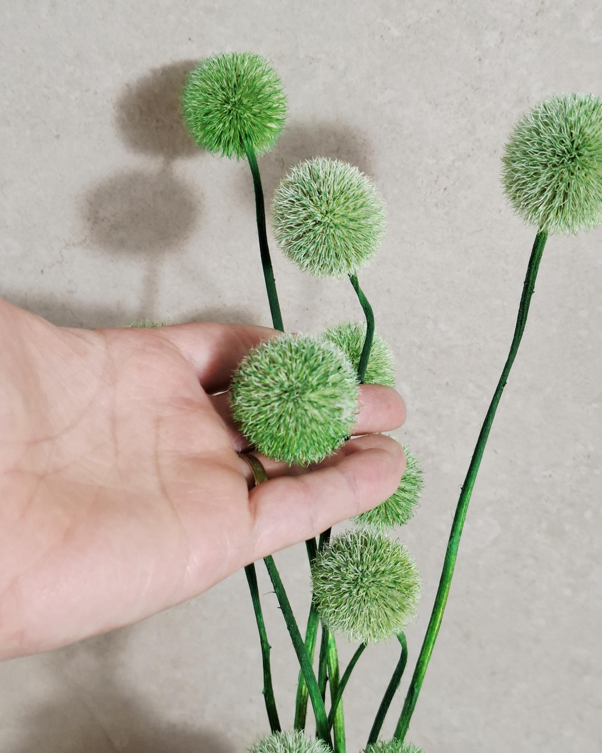 Green Globe Thistle Stems Echinops, Dyed Dried Flowers, Floral Supply, Green Decorative Stems, DIY Craft Material, Vase Filler