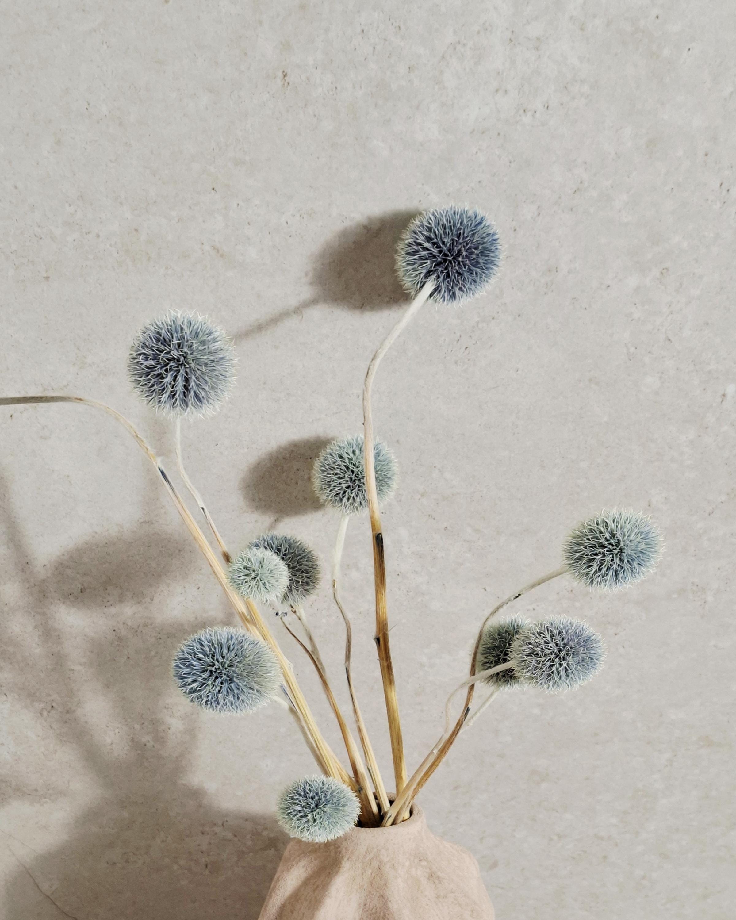 Blue Echinops Stems, Dyed Dried Flowers, Globe Thistle Stems, Grey Blue Floral Supply, Minimalist Decor, DIY Craft Material