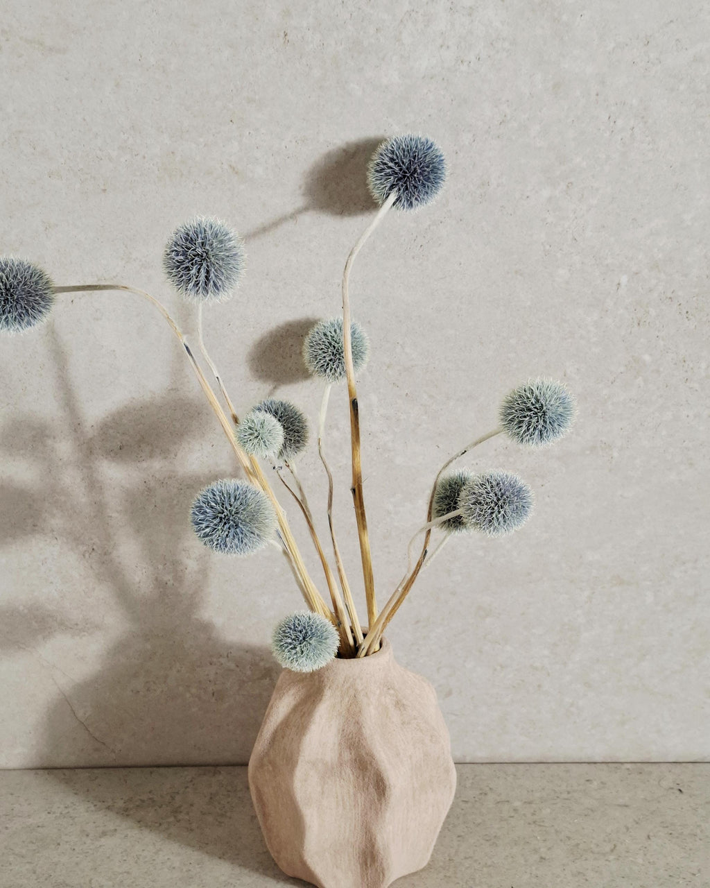 Blue Echinops Stems, Dyed Dried Flowers, Globe Thistle Stems, Grey Blue Floral Supply, Minimalist Decor, DIY Craft Material