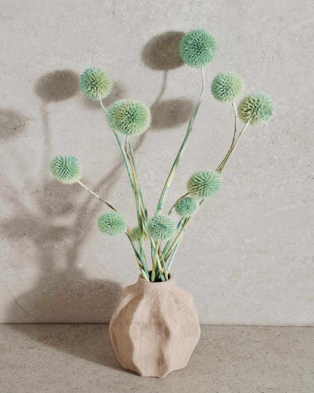 Dried Allium Stems Mint Green | Decorative Floral Material | Florist Supply | DIY Craft Flowers | Natural Style Decor