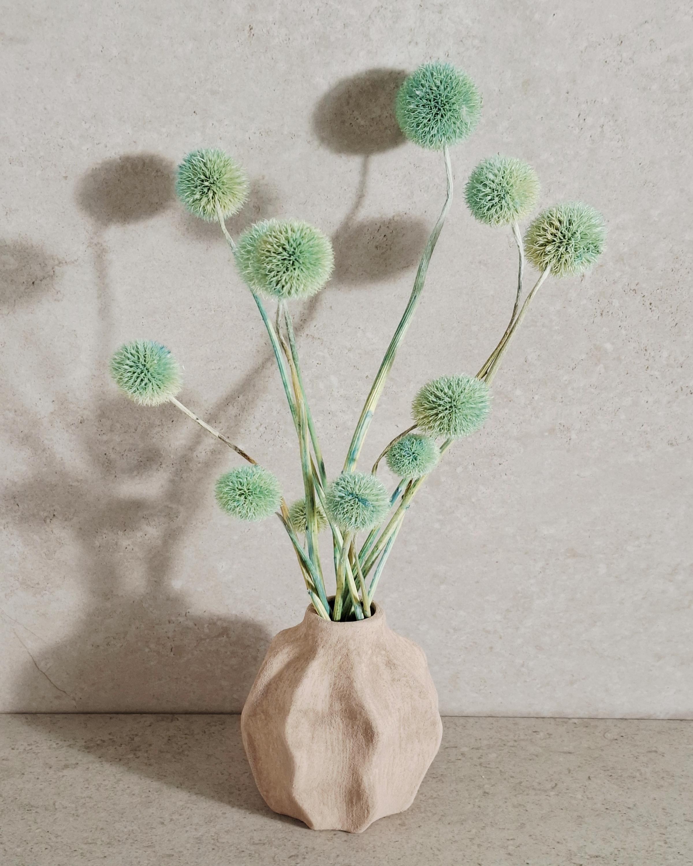 Dried Allium Stems Mint Green | Decorative Floral Material | Florist Supply | DIY Craft Flowers | Natural Style Decor