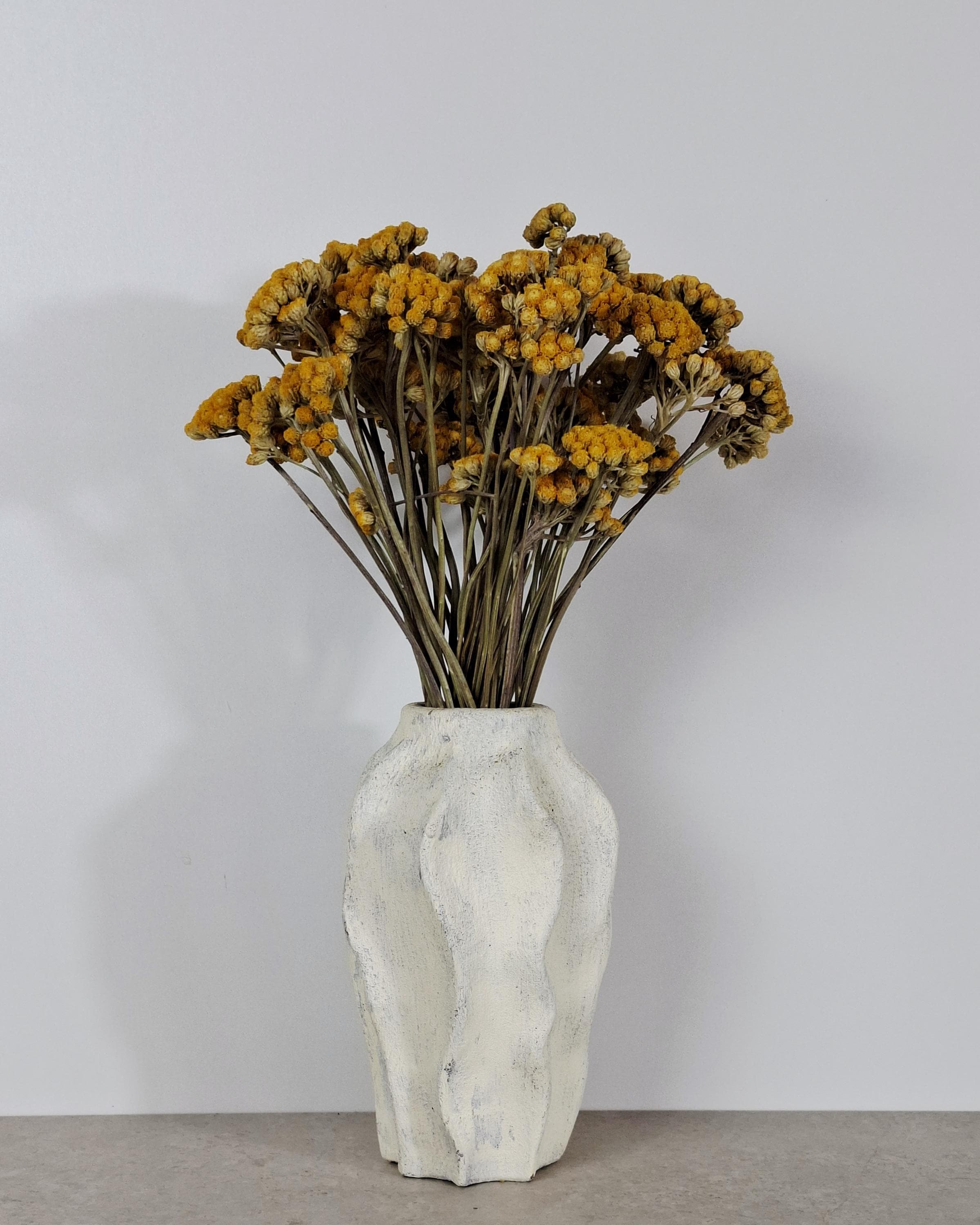 Dried Lonas Inodora Flowers Yellow, Helichrysum Bouquet, Everlasting Flowers, Natural Decor