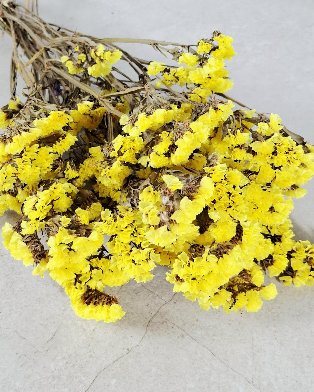 Yellow Statice Flowers, Dried Limonium Stems, Bright Yellow Dried Flowers, Floral Supply for DIY, Vase Decor, Craft Flowers