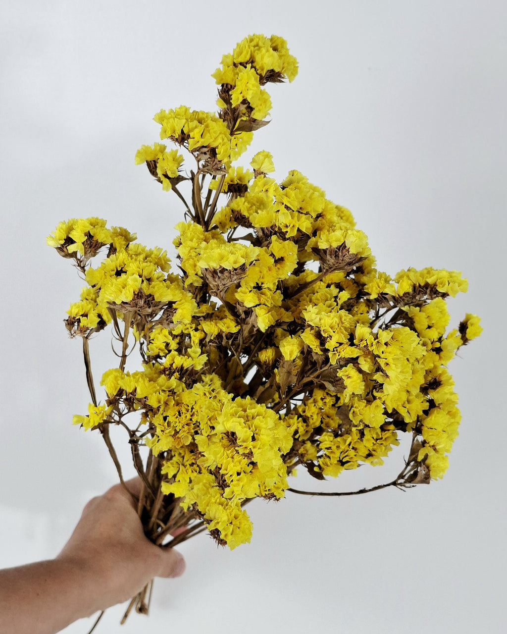 Yellow Statice Flowers, Dried Limonium Stems, Bright Yellow Dried Flowers, Floral Supply for DIY, Vase Decor, Craft Flowers