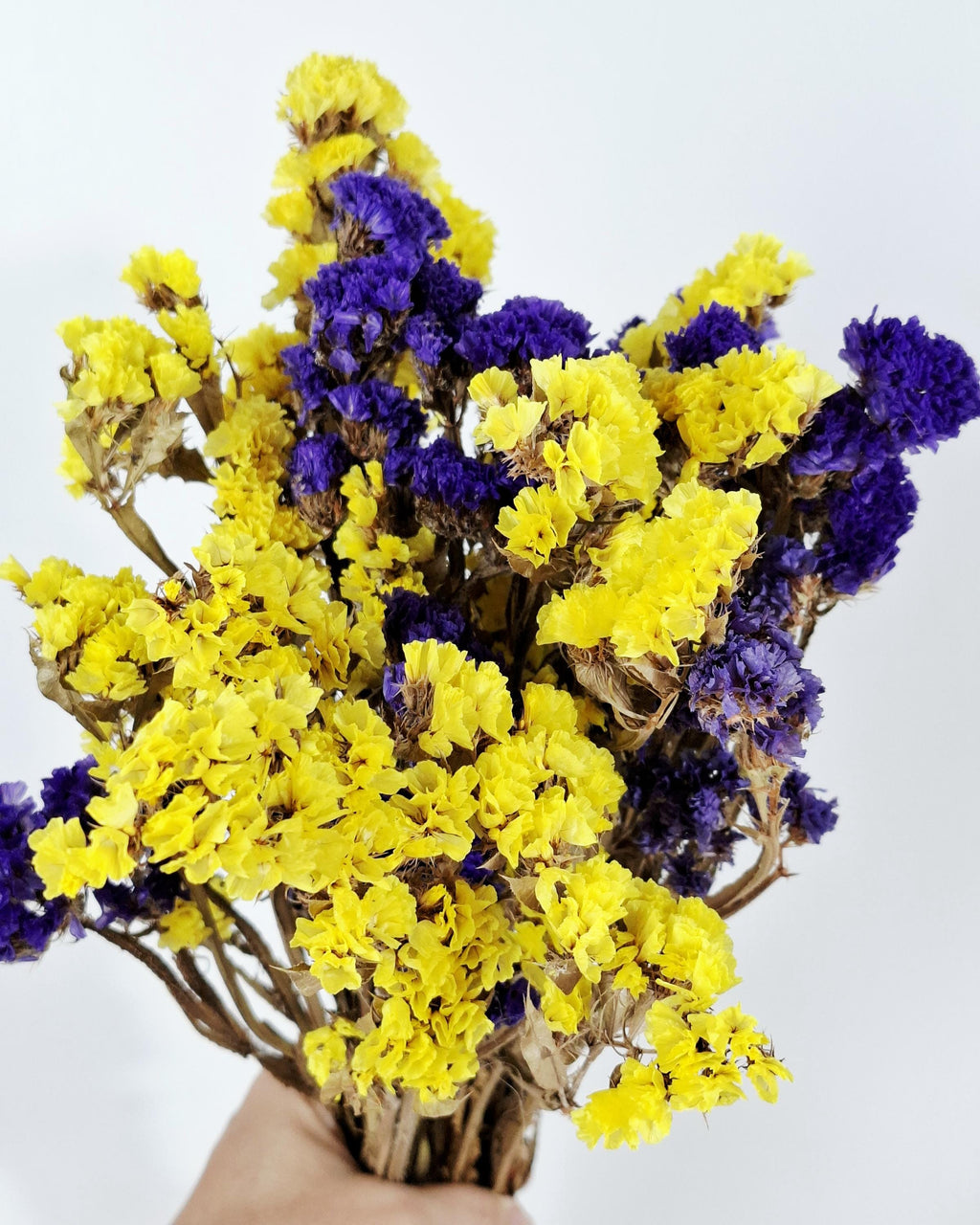 Yellow Purple Statice Flowers, Dried Limonium Bouquet, Two Tone Dried Flowers, Bright Floral Decor, Vase Arrangement, Craft Flowers