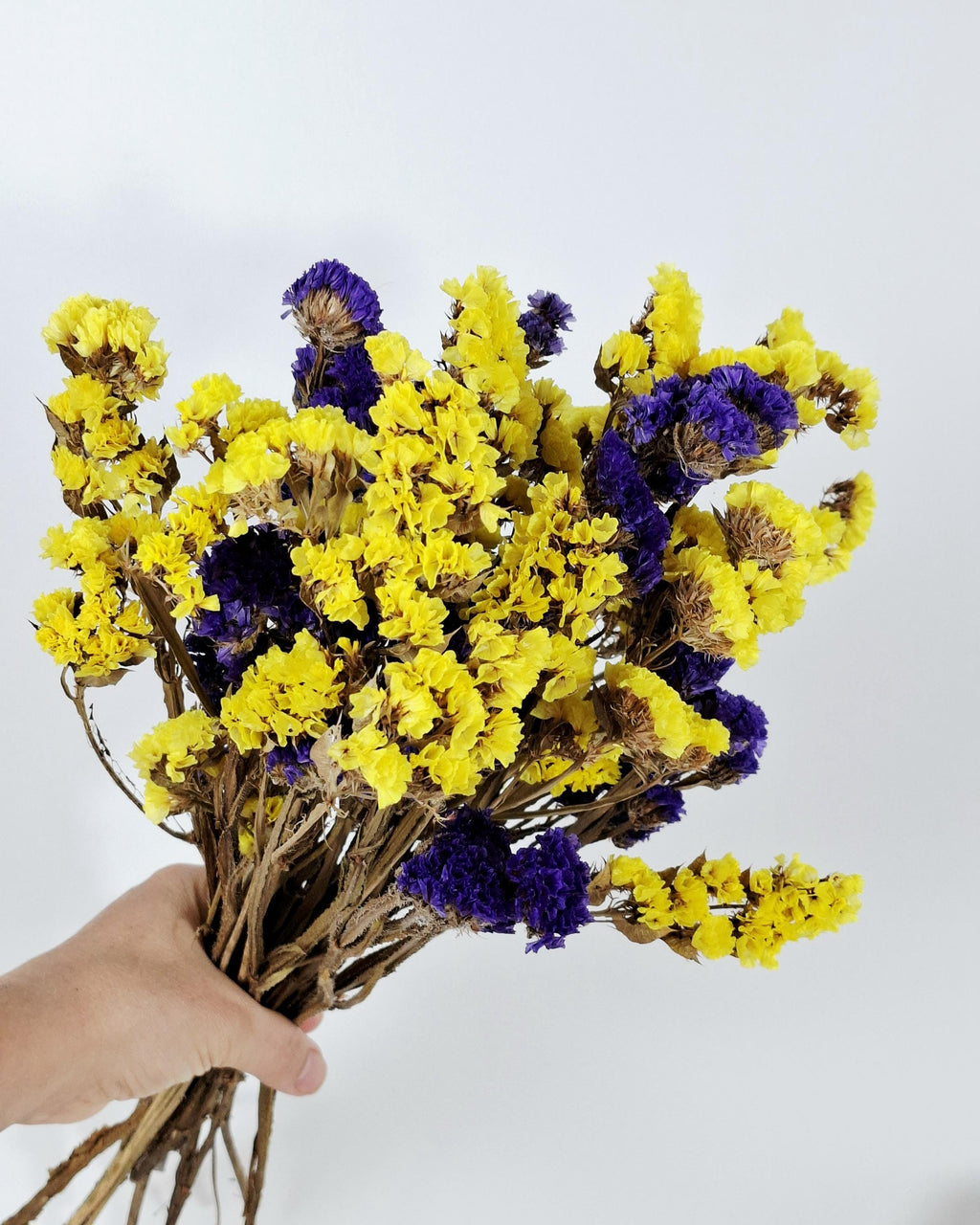 Yellow Purple Statice Flowers, Dried Limonium Bouquet, Two Tone Dried Flowers, Bright Floral Decor, Vase Arrangement, Craft Flowers