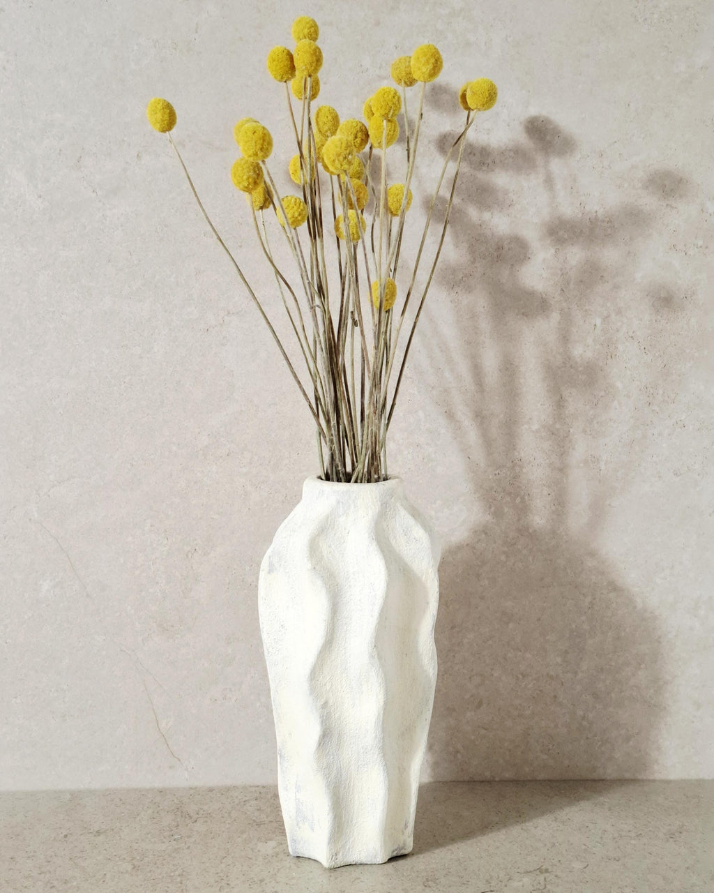 Yellow Craspedia Stems Dried Flowers for Florists DIY Floral Supply Billy Balls Natural Bouquet Decor