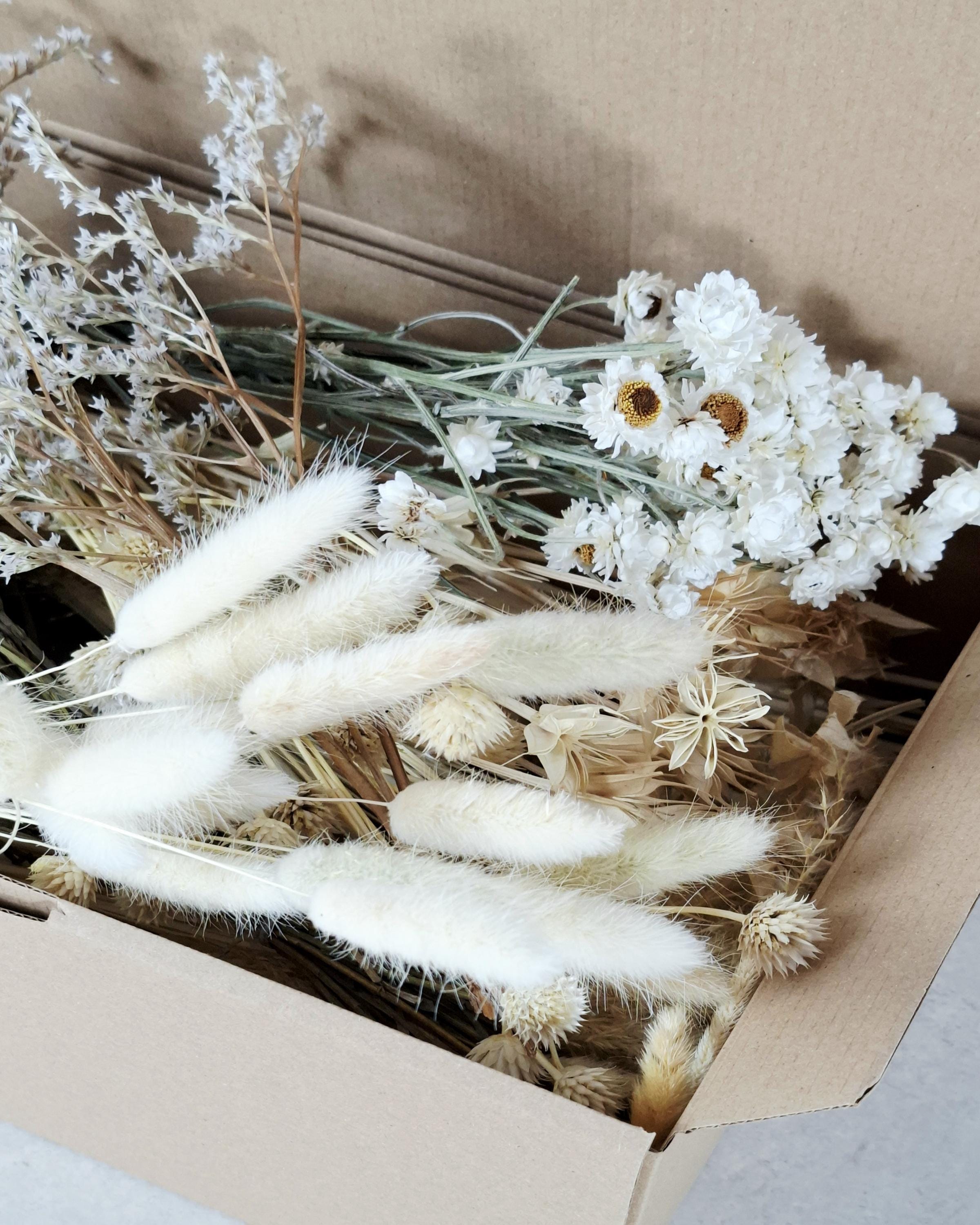 White Dried Flower Box for Crafts – Neutral DIY Floral Kit, Boho Dried Flowers Mix, Floral Supply Box for Resin Art, Candles & Decor