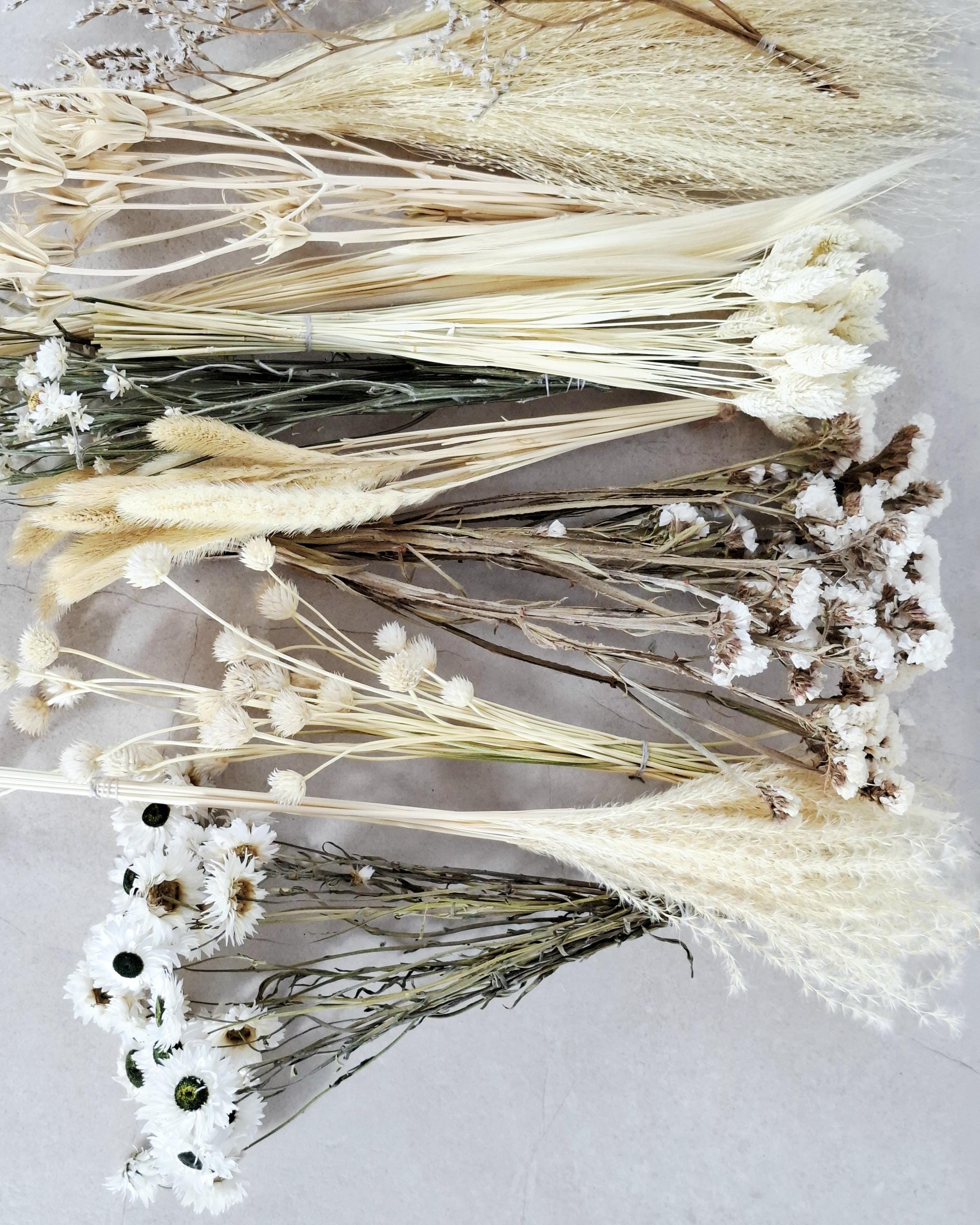 White Dried Flower Box for Crafts – Neutral DIY Floral Kit, Boho Dried Flowers Mix, Floral Supply Box for Resin Art, Candles & Decor