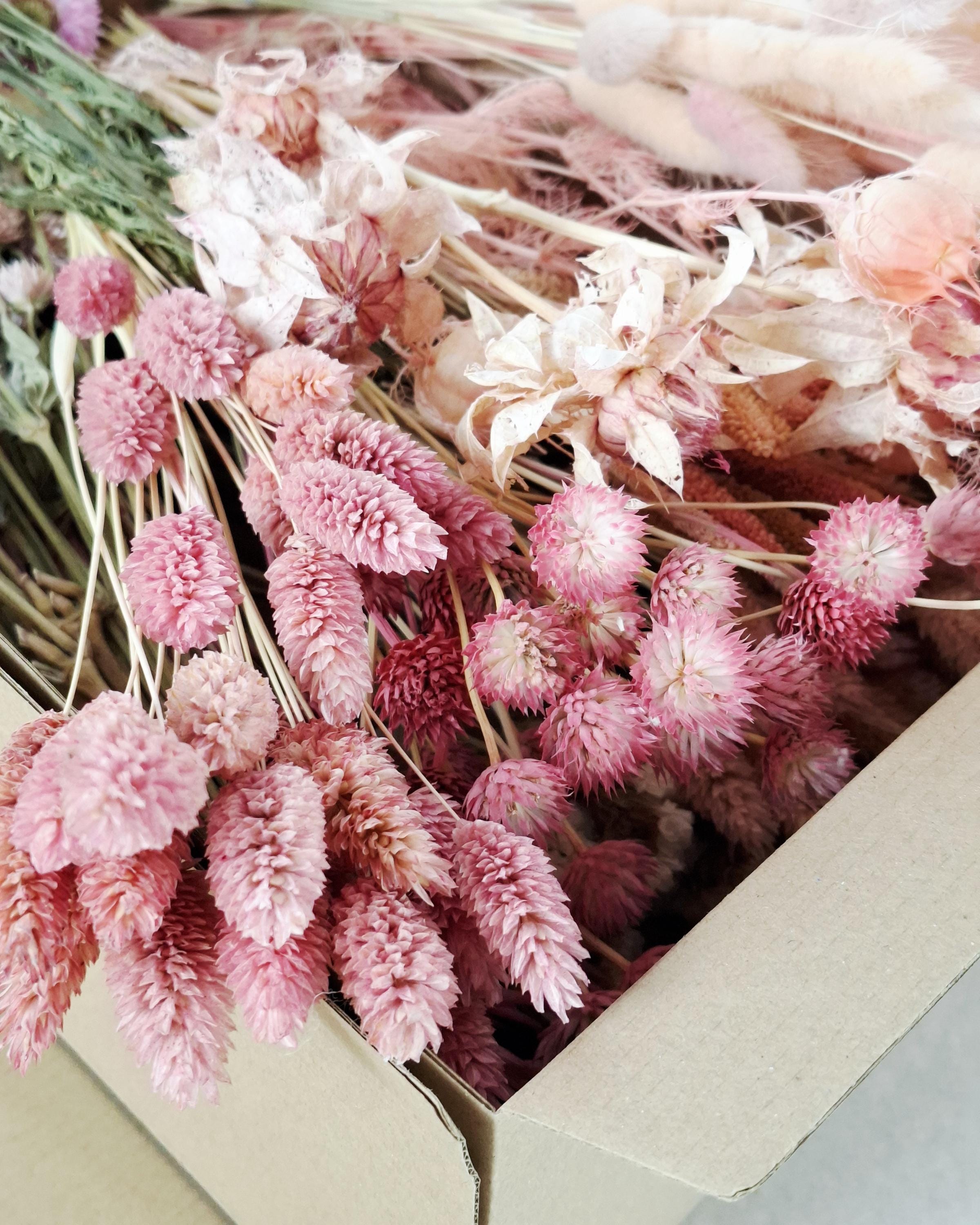 Pink Dried Flower Box for Crafts – Pastel DIY Floral Kit, Romantic Dried Flowers Mix for Resin Art, Candles & Decor