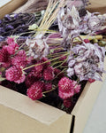 Purple & Pink Dried Flower Box for Crafts – Lavender Botanical DIY Kit, Romantic Floral Supply Box for Resin Art Decor