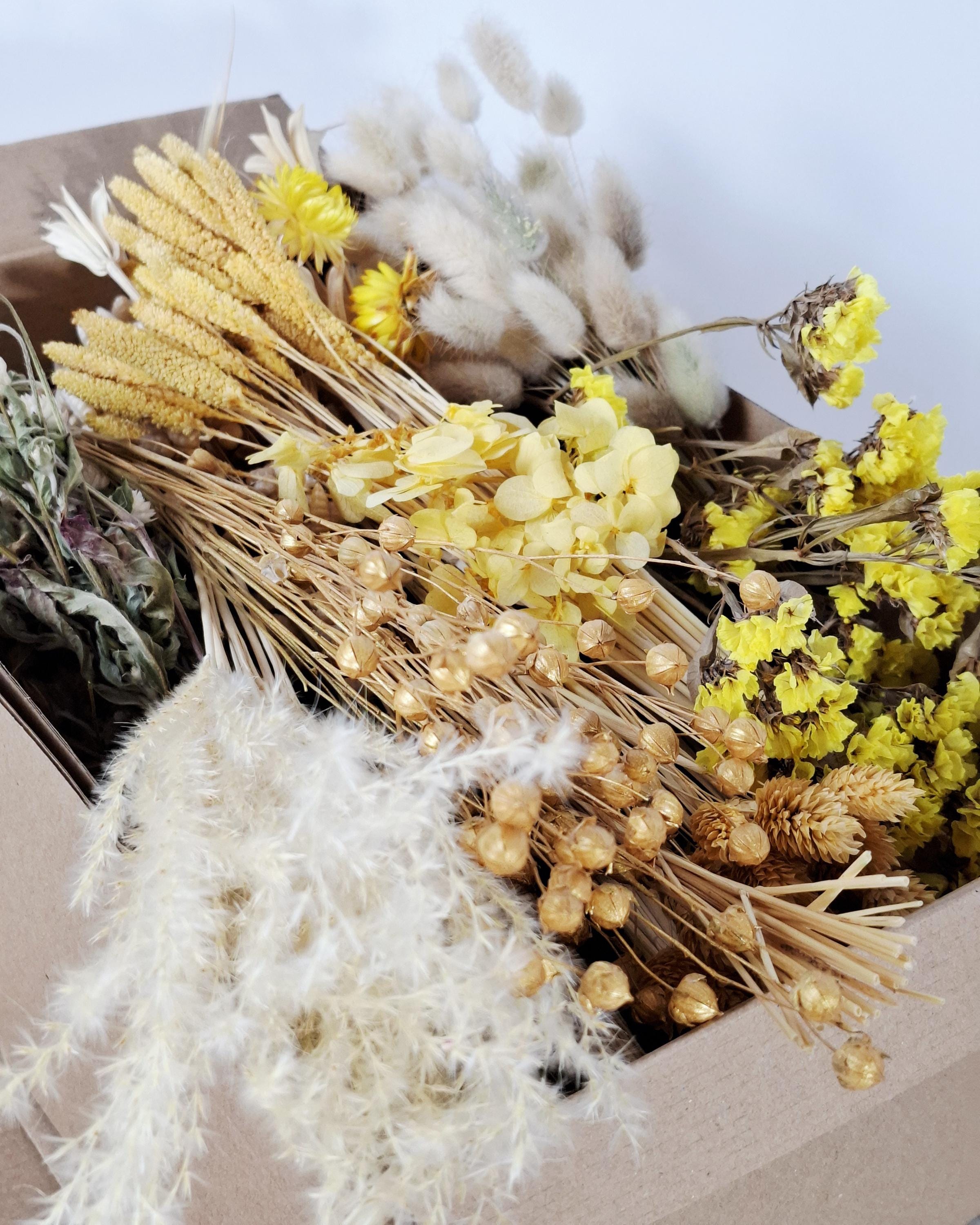 Yellow Beige Dried Flower Box for Crafts – Neutral Botanical DIY Kit, Natural Floral Supply for Resin Art & Home Decor