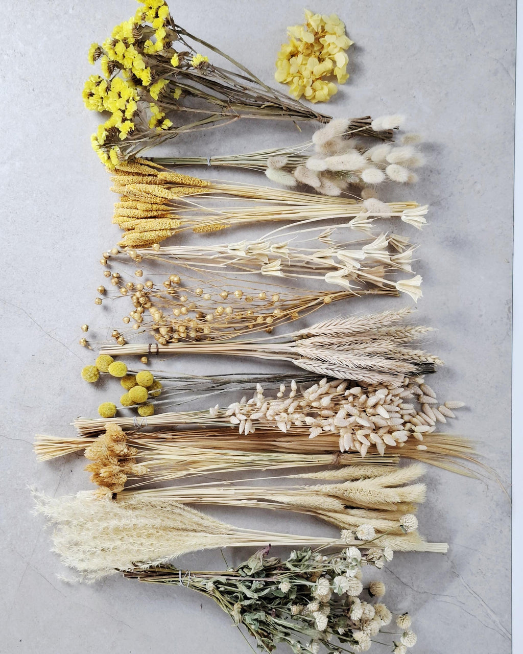 Yellow Beige Dried Flower Box for Crafts – Neutral Botanical DIY Kit, Natural Floral Supply for Resin Art & Home Decor