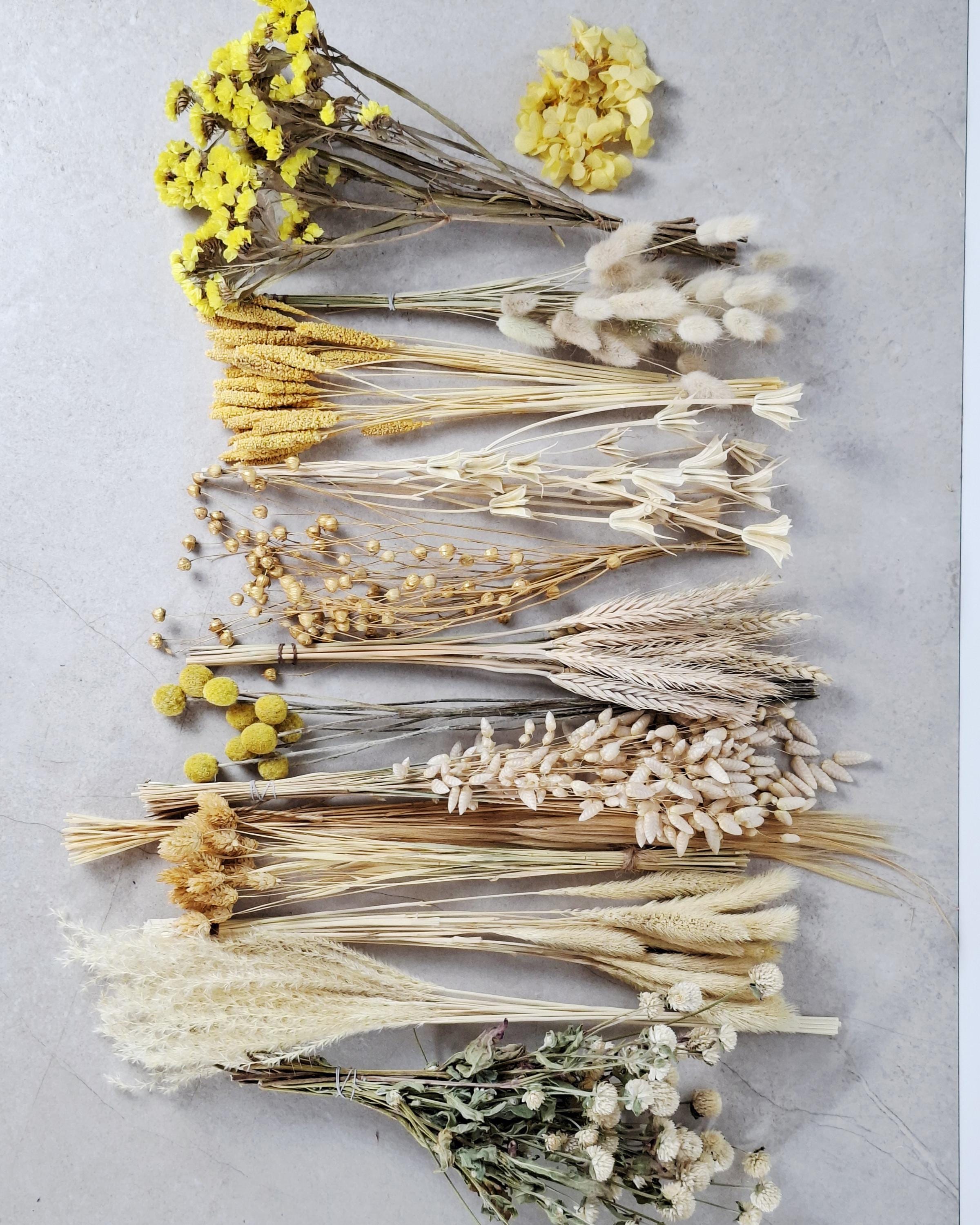 Yellow Beige Dried Flower Box for Crafts – Neutral Botanical DIY Kit, Natural Floral Supply for Resin Art & Home Decor