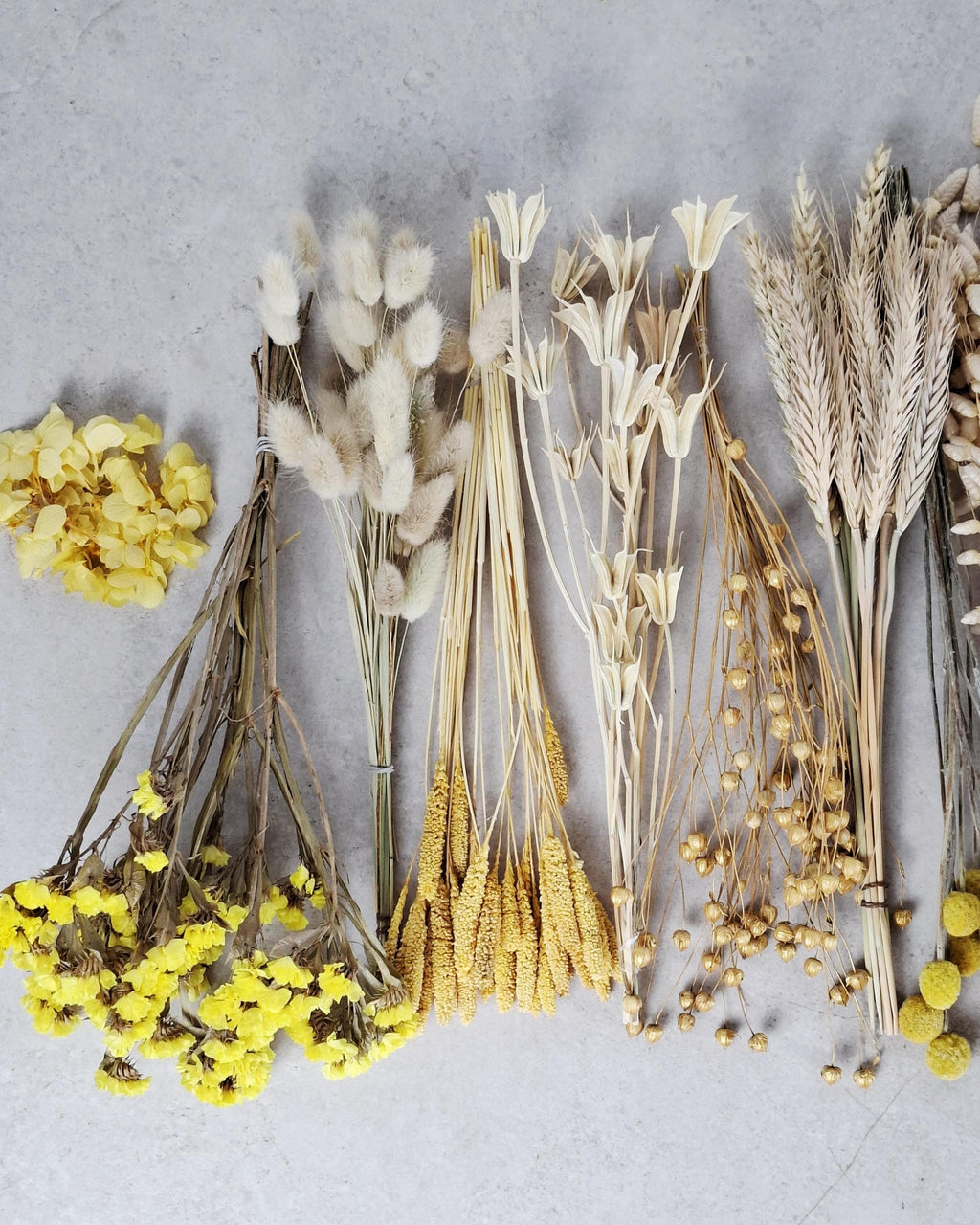 Yellow Beige Dried Flower Box for Crafts – Neutral Botanical DIY Kit, Natural Floral Supply for Resin Art & Home Decor