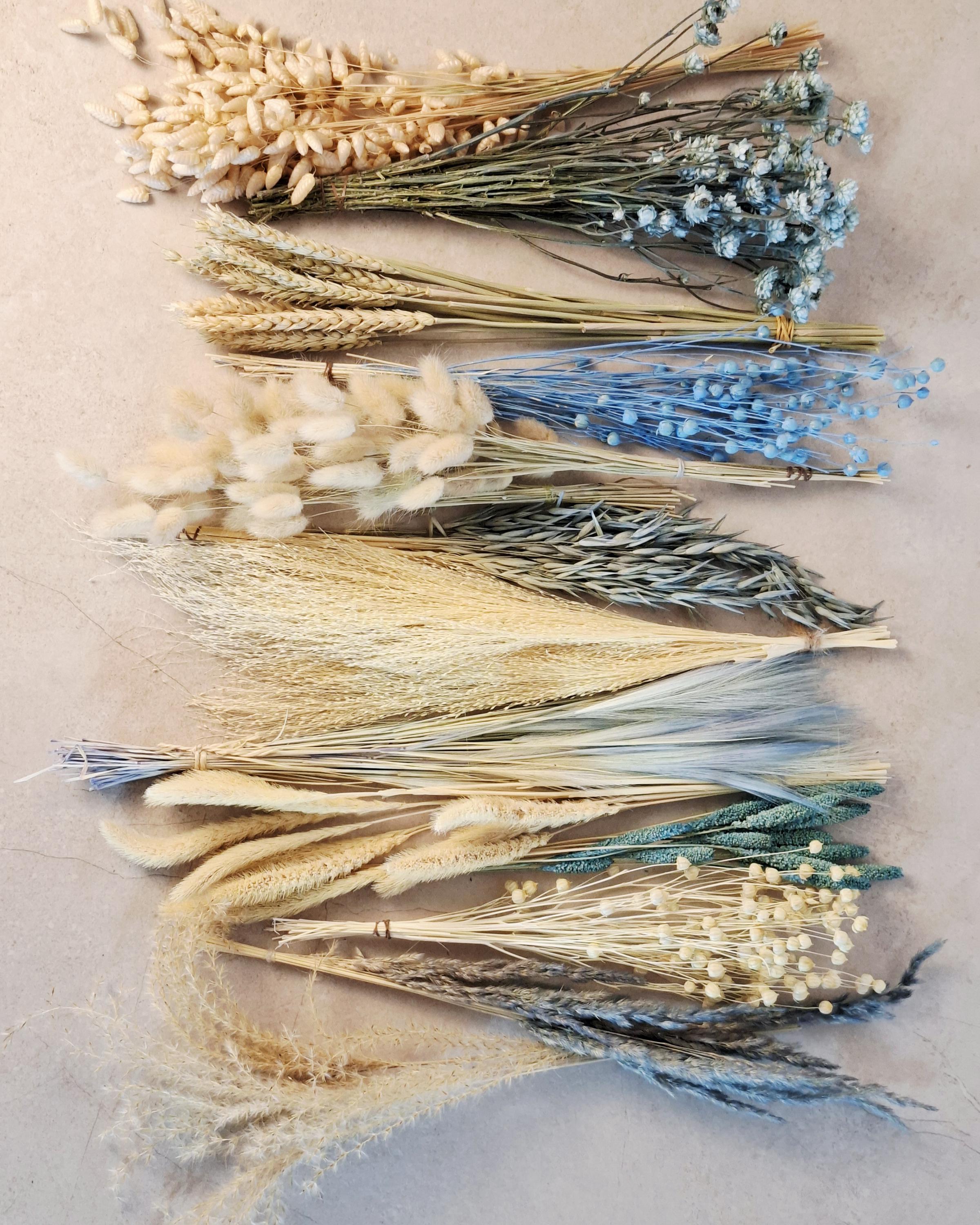 Blue Beige Dried Flower Craft Box – Natural Dried Flowers Mix for DIY Decor, Floral Arrangements, Resin Art & Wedding Crafts