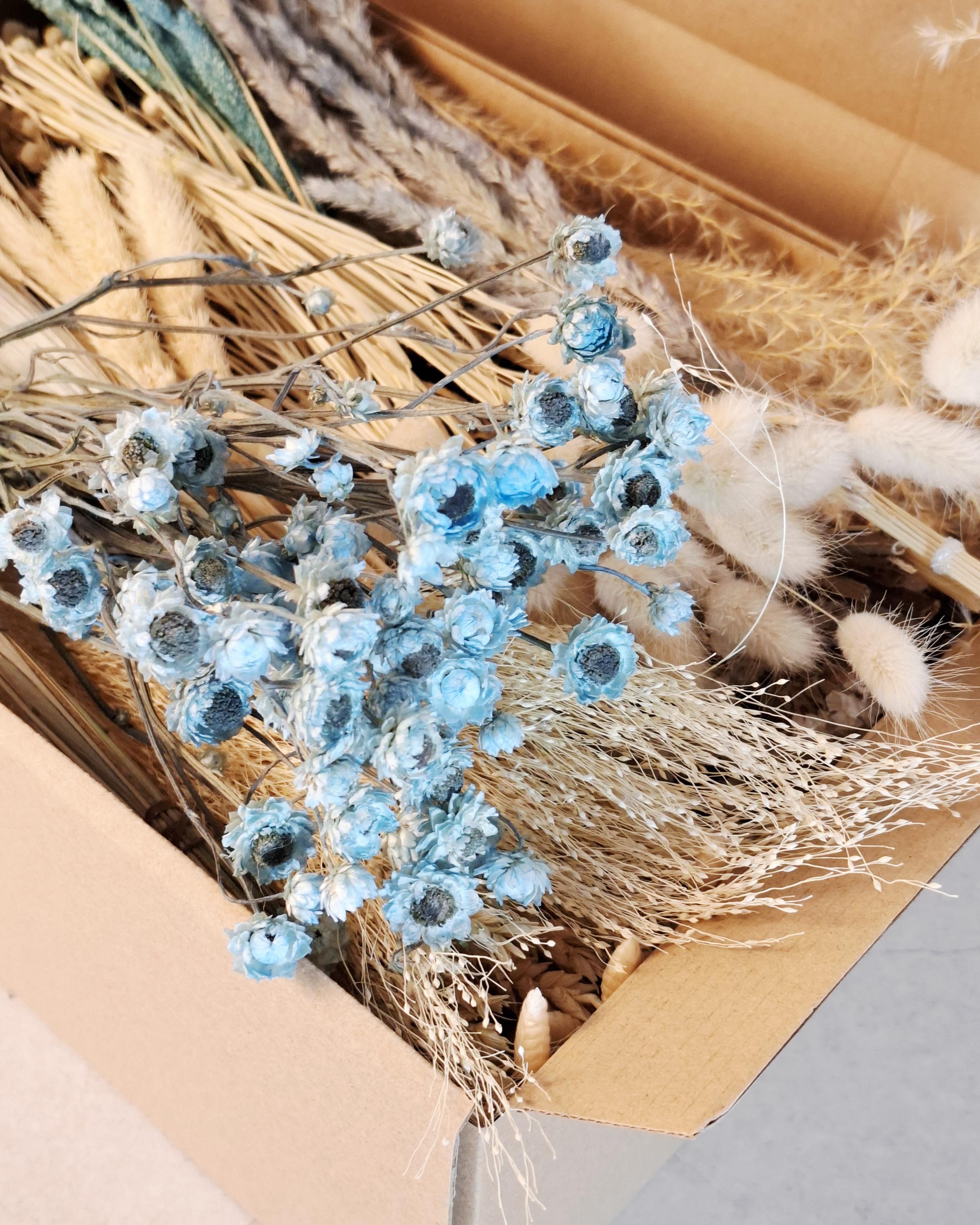 Blue Beige Dried Flower Craft Box – Natural Dried Flowers Mix for DIY Decor, Floral Arrangements, Resin Art & Wedding Crafts