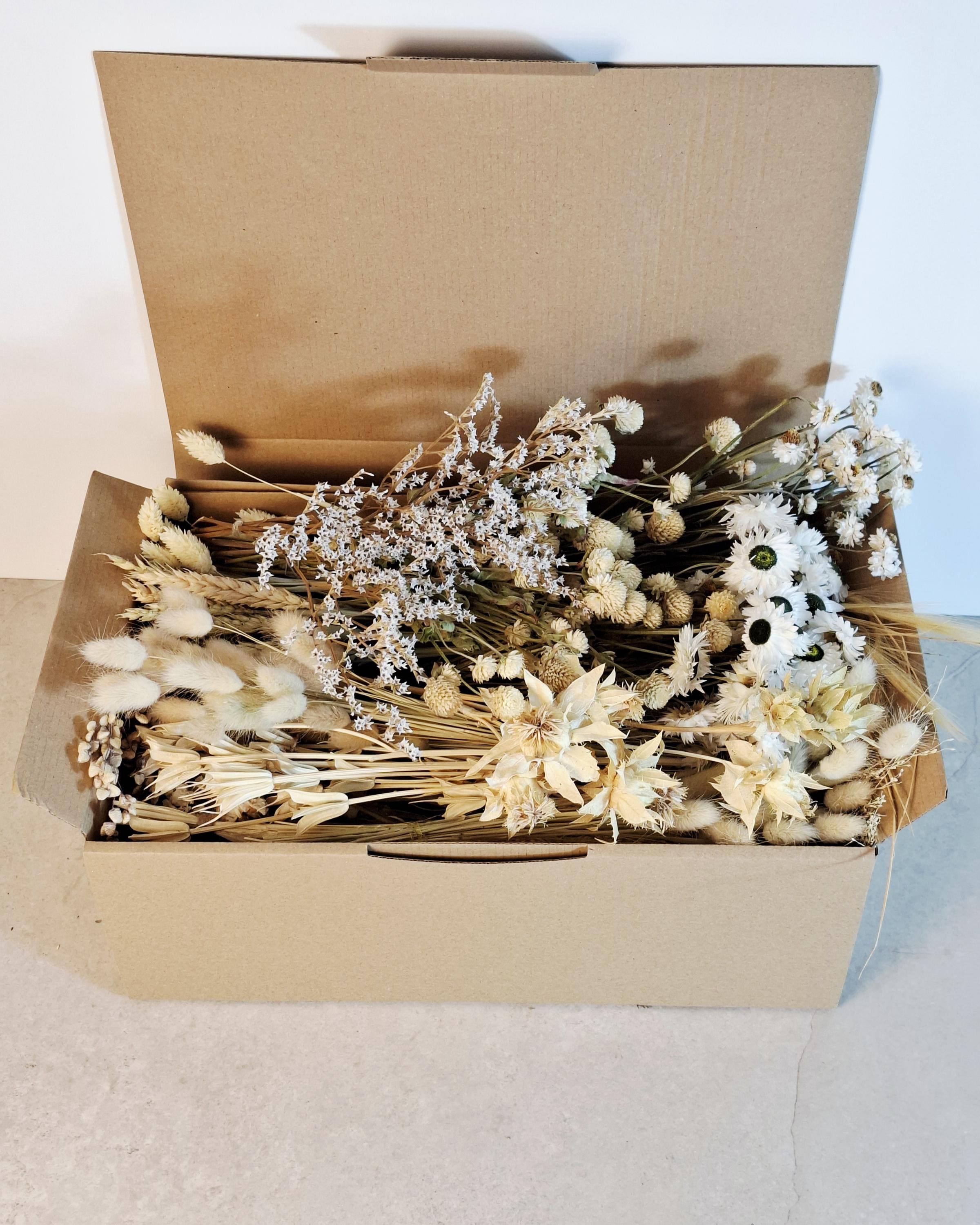 Natural Dried Flower Box for Crafts – Neutral Botanical DIY Kit, Beige Floral Supply Box for Resin Art & Decor