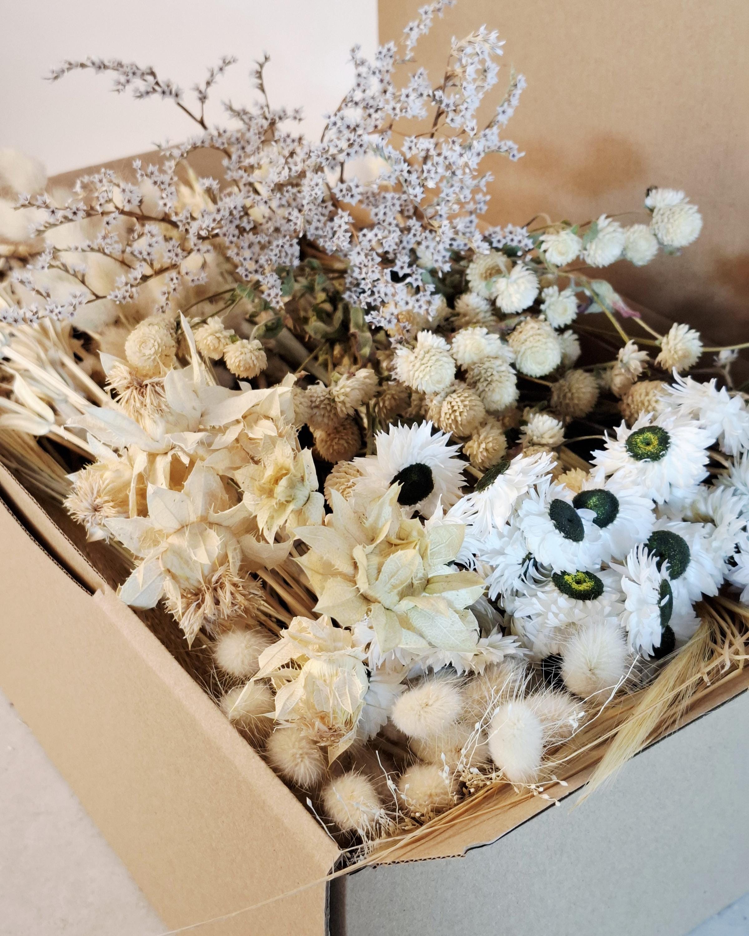 Natural Dried Flower Box for Crafts – Neutral Botanical DIY Kit, Beige Floral Supply Box for Resin Art & Decor