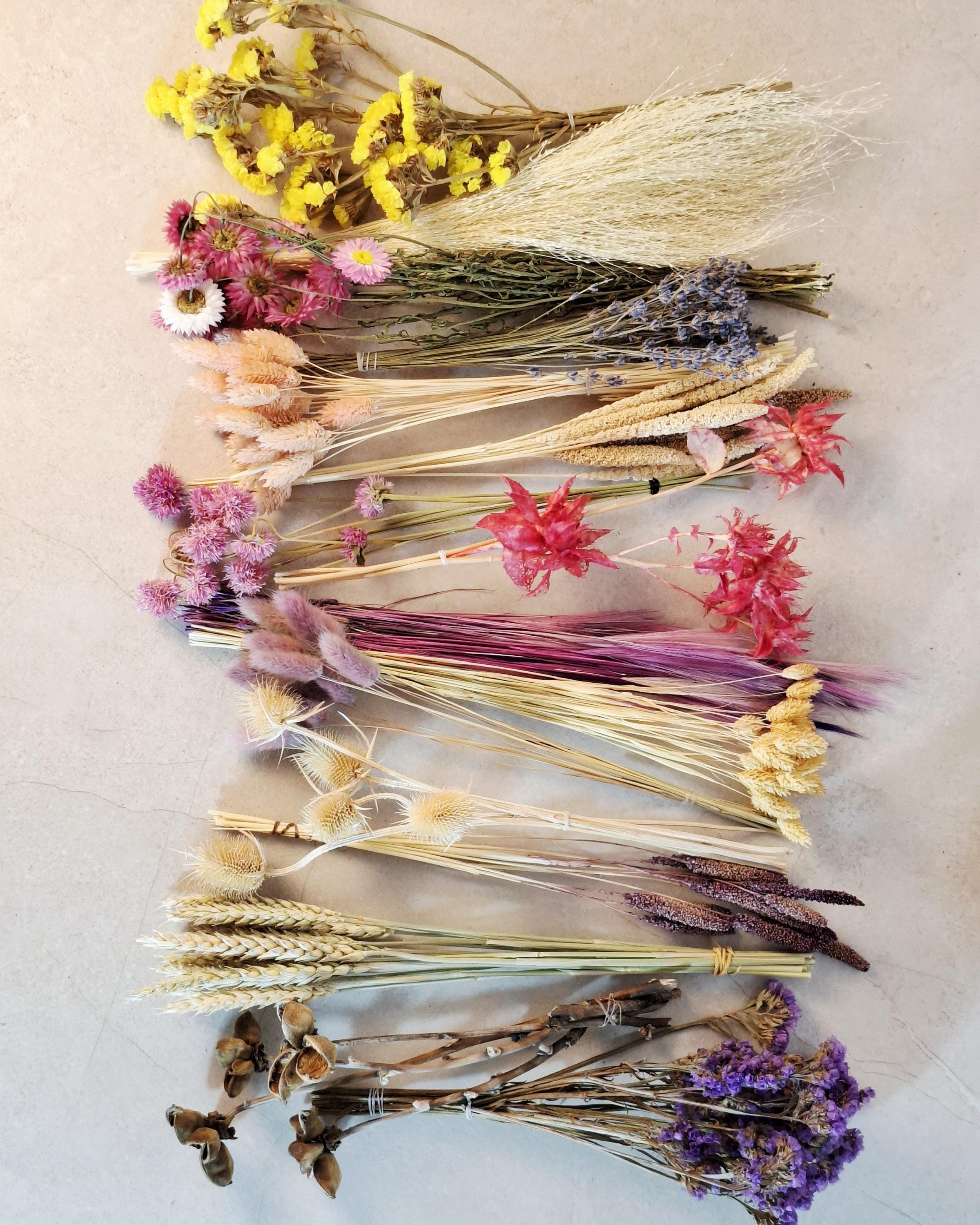 Bright Wildflower Dried Flower Box for Crafts – Colorful DIY Floral Kit for Resin Art, Candles & Decor