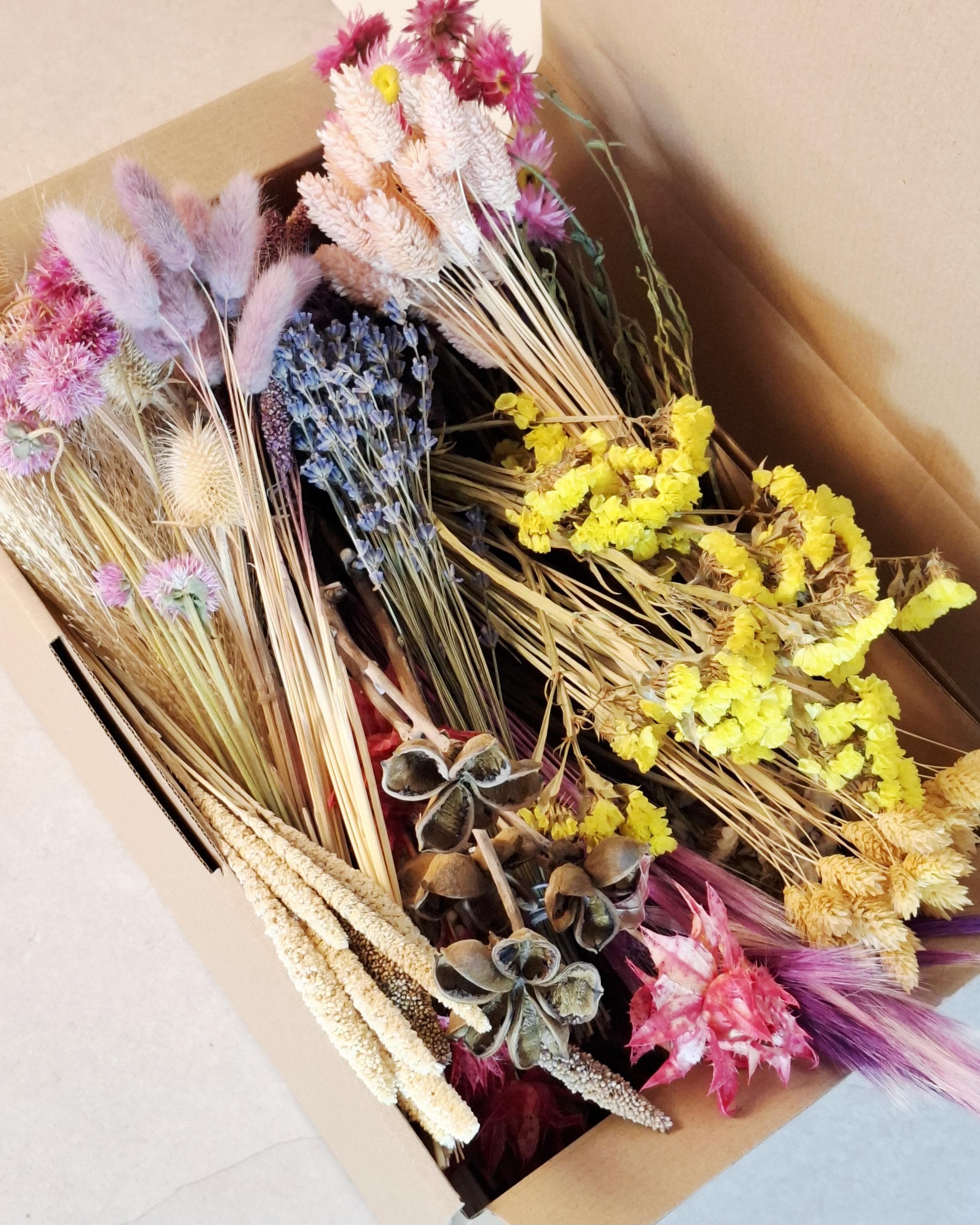 Bright Wildflower Dried Flower Box for Crafts – Colorful DIY Floral Kit for Resin Art, Candles & Decor
