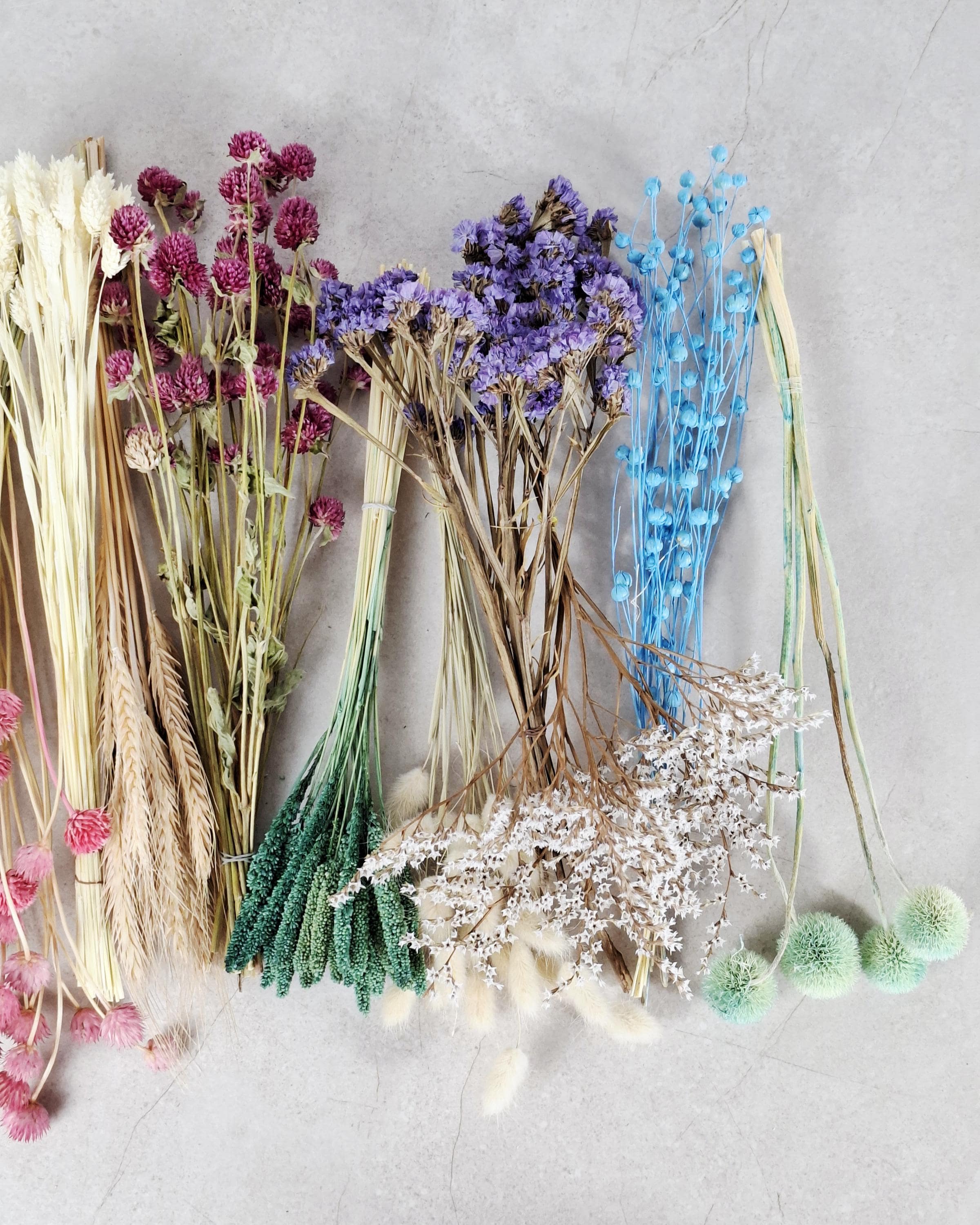 Rainbow Dried Flower Box for Crafts – DIY Dried Flower Box, Floral Craft Kit, Florist Supplies & Botanical Decor