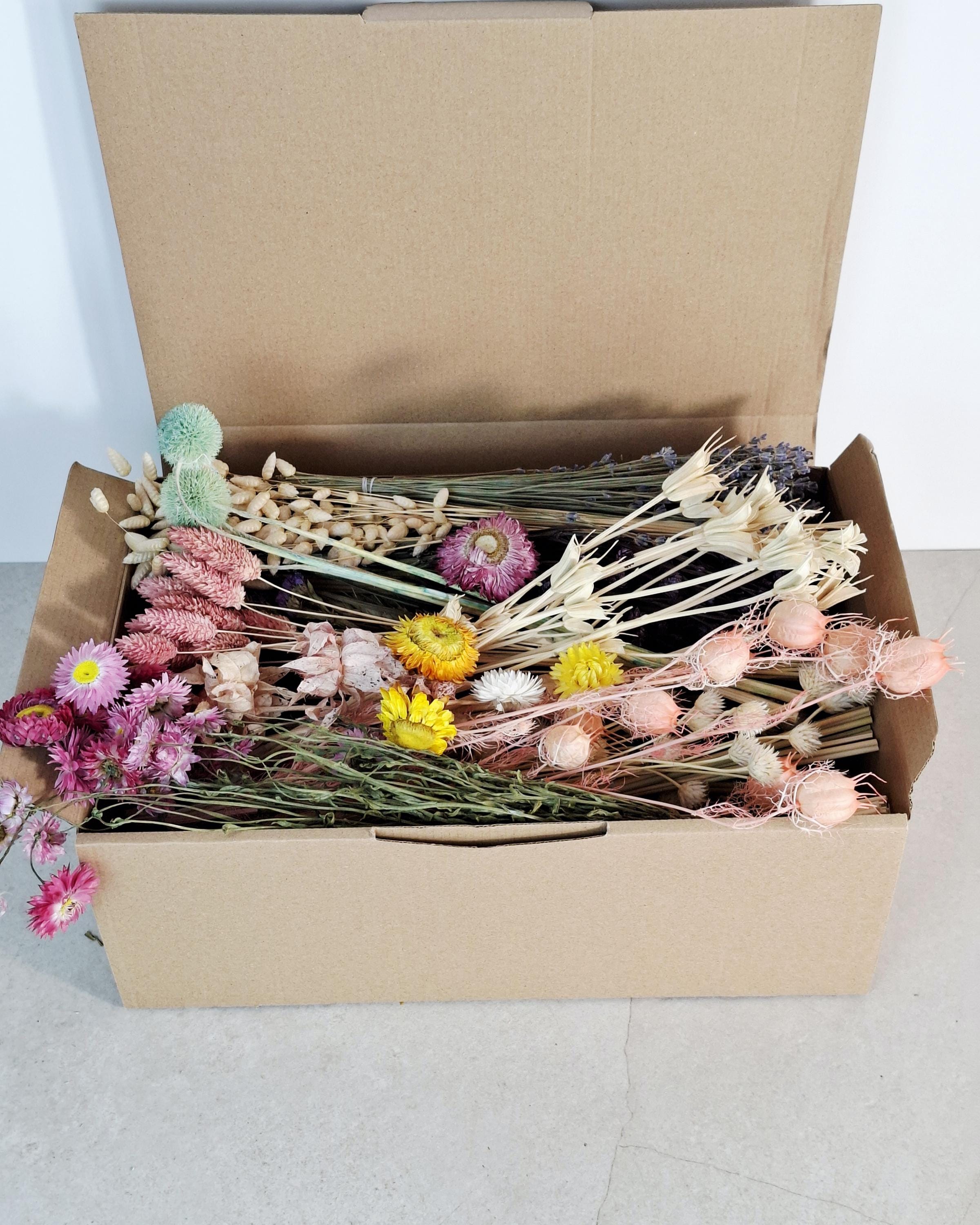 Dried Flower Box, DIY Dried Flower Box, Floral Craft Kit, Dried Flower Kit, Florist Supplies, Dried Flower Mix
