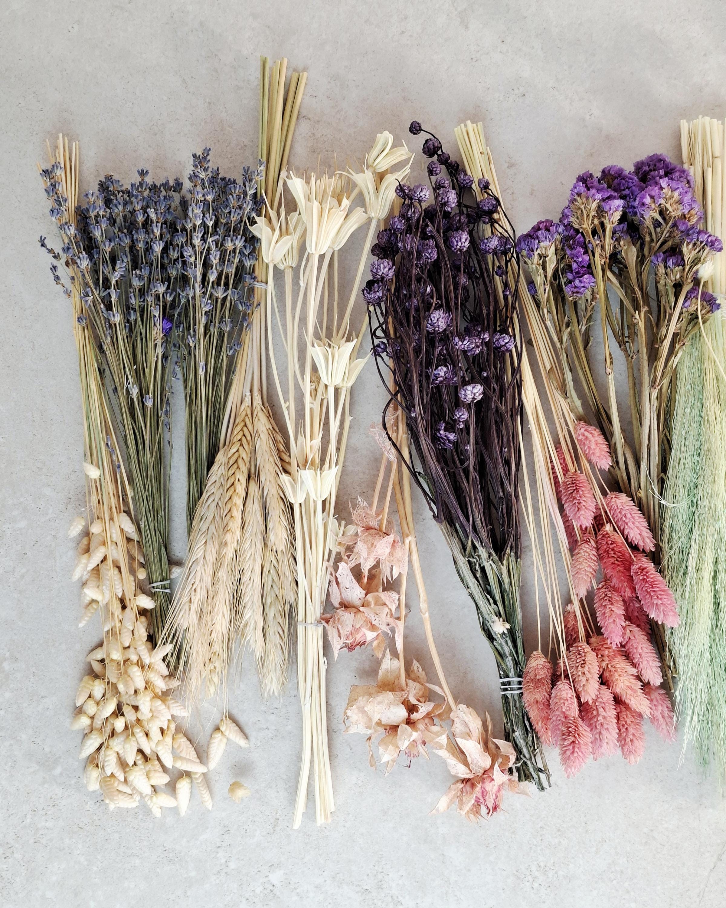 Dried Flower Box, DIY Dried Flower Box, Floral Craft Kit, Dried Flower Kit, Florist Supplies, Dried Flower Mix