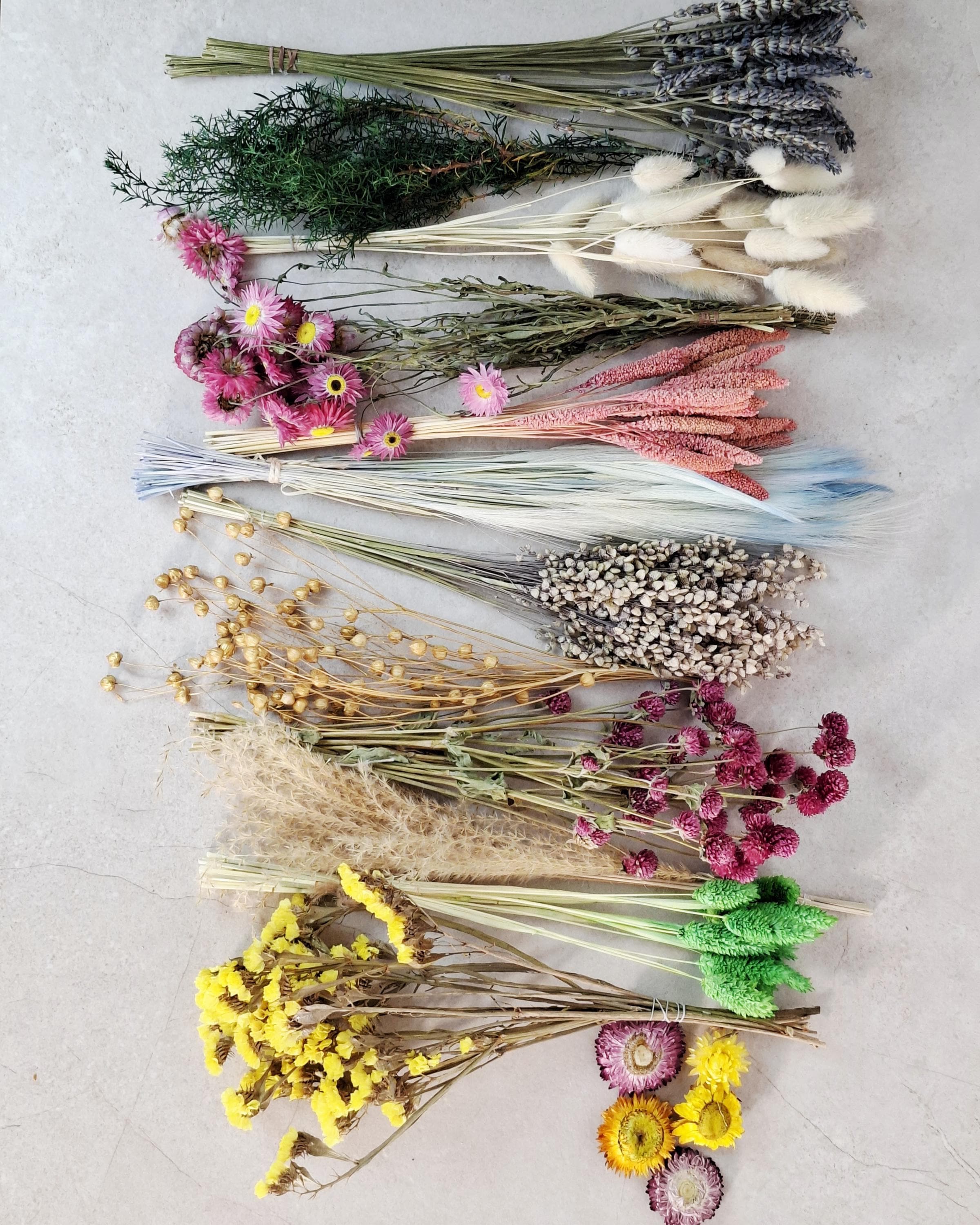 Dried Flower Box, DIY Dried Flower Box, Floral Craft Kit, Florist Supplies, Dried Flower Mix, Dried Flowers for Crafts