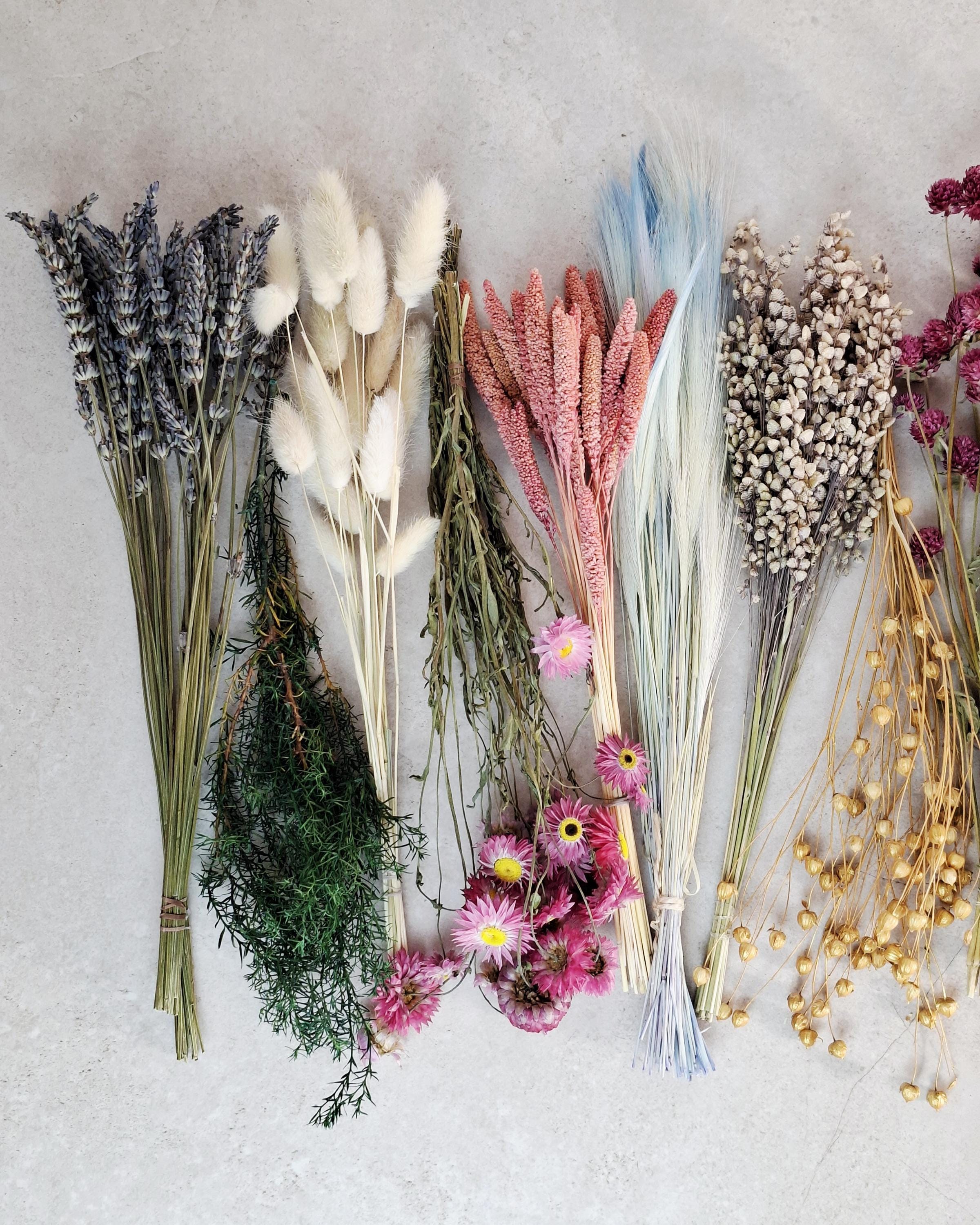 Dried Flower Box, DIY Dried Flower Box, Floral Craft Kit, Florist Supplies, Dried Flower Mix, Dried Flowers for Crafts
