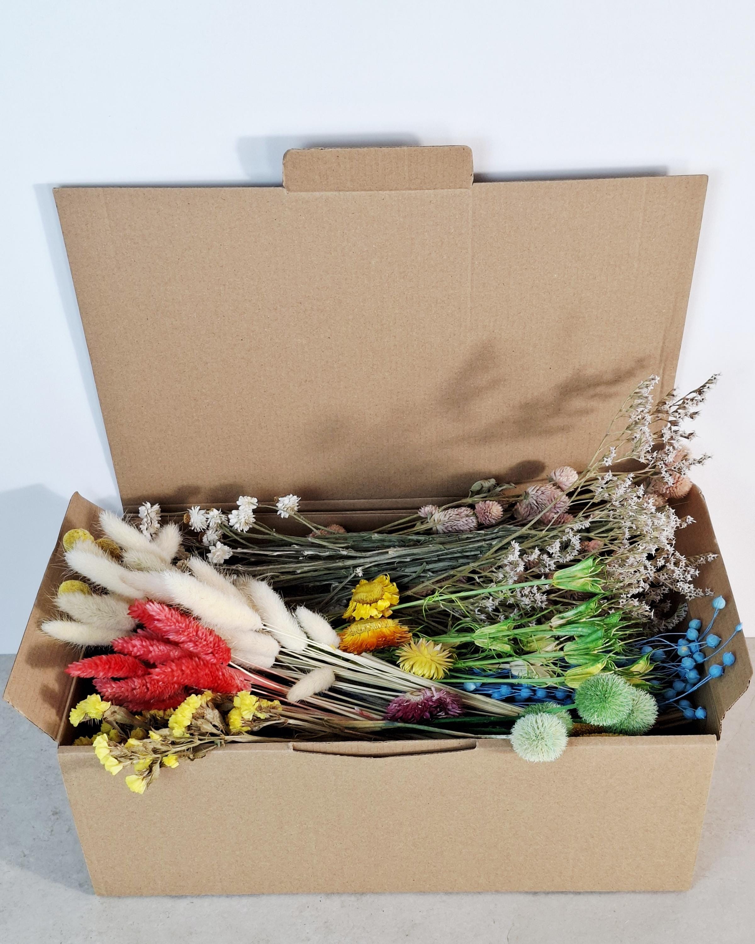 Dried Flower Box, DIY Dried Flower Box, Floral Craft Kit, Dried Flower Mix, Florist Supplies, Dried Flowers for Crafts
