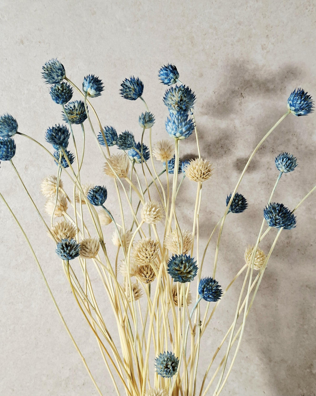 Blue Dried Flower Stems, Preserved Floral Stems, Florist Supplies, Dried Flowers for Crafts, Wedding Floral Decor