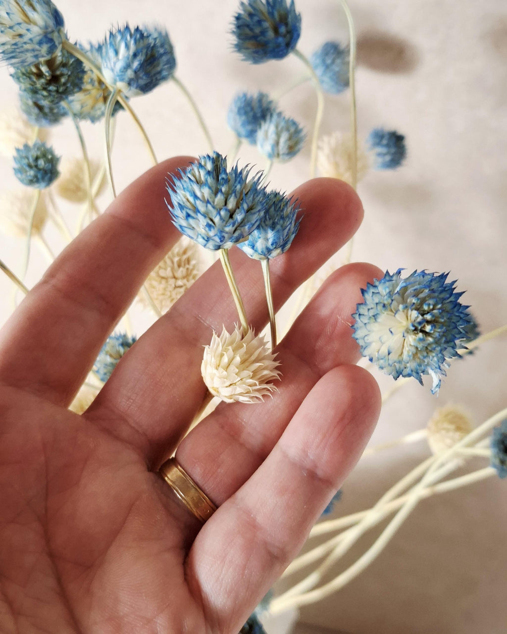 Blue Dried Flower Stems, Preserved Floral Stems, Florist Supplies, Dried Flowers for Crafts, Wedding Floral Decor