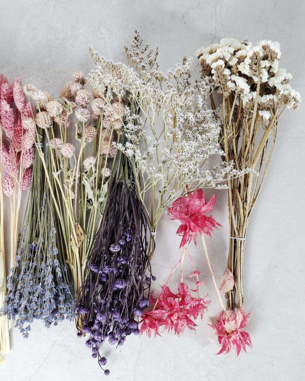 Pastel Dried Flower Box | Lavender & Lagurus Mix | Boho Floral Craft Kit | Pink Purple Dried Flowers | Florist Supplies for DIY Decor