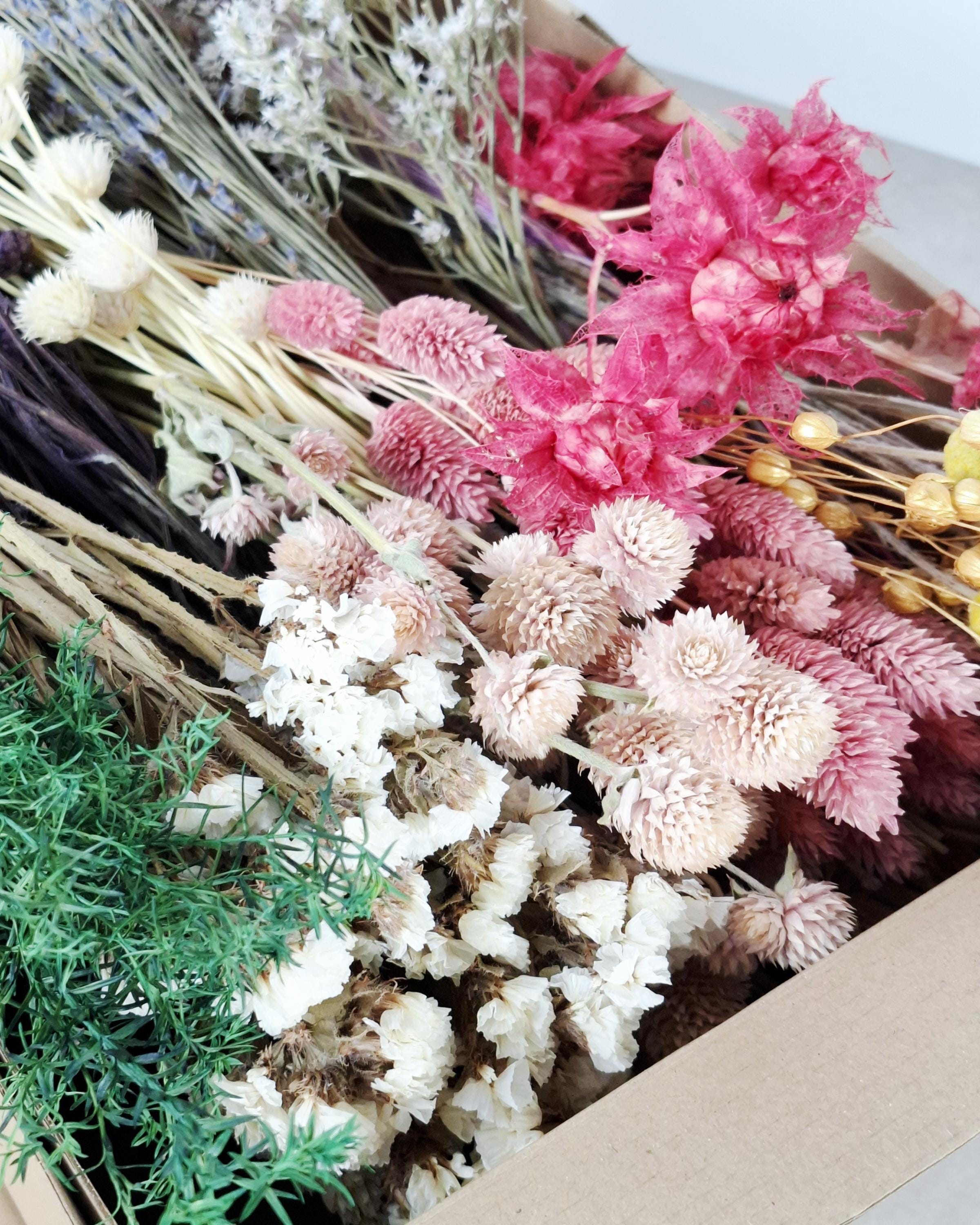 Pastel Dried Flower Box | Lavender & Lagurus Mix | Boho Floral Craft Kit | Pink Purple Dried Flowers | Florist Supplies for DIY Decor