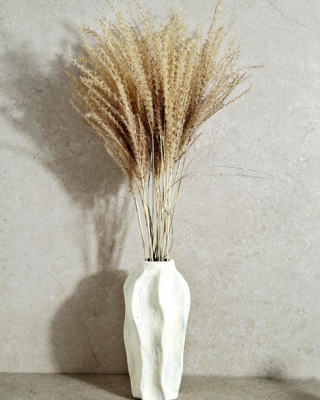 Dried Miscanthus 60 cm | Natural Beige Pampas Style Grass | Boho Home Decor | Florist Material | Wedding Arrangement